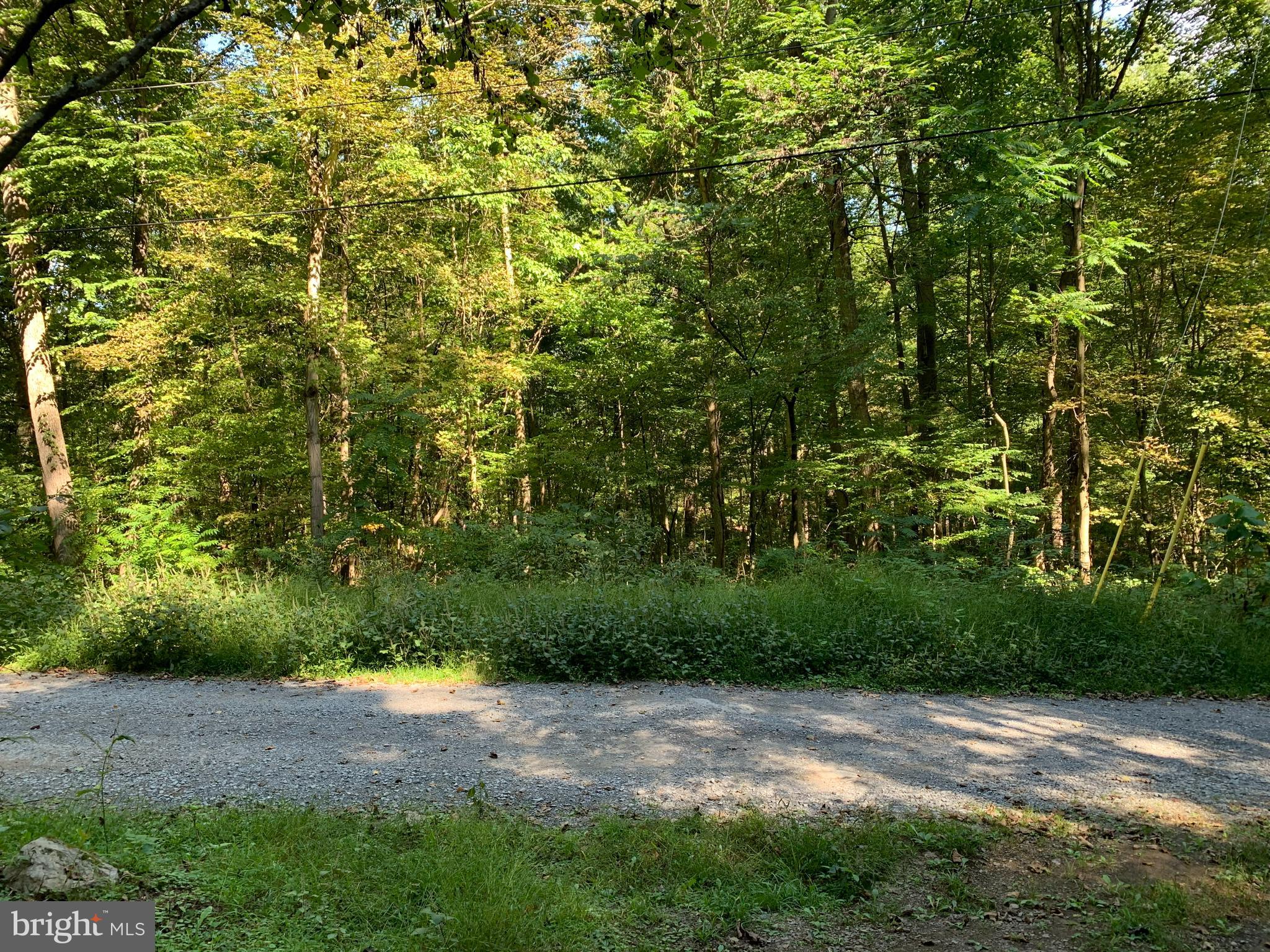This could be your Mountain River Property in WV. This is a .50 acre lot with recent septic permit with well location. Just the right size for that Getaway Cabin or Chalet. Plus 1/27 interest in Lot 28 which is the Recreational Area and access to the River. This is a Private Community and has 28 lots. Come check out this lot location to find some of the wonderful and beautiful enjoyment of the area. Located only 8 mile from Historic Berkeley Springs so it is convenient for shopping and dining. Also easy access to VA, MD. PA, and DC. Call today for an appointment to view this fantastic property. Agent must accompany all showings. No Drive By. Sign on Property.