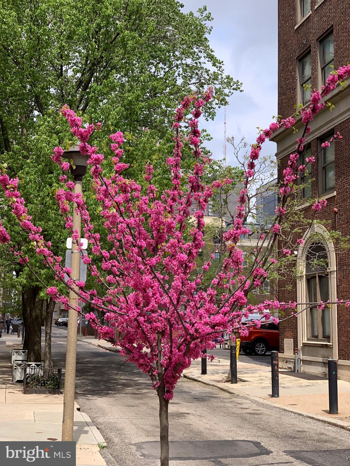 WASHINGTON SQ WEST - Residential Lease