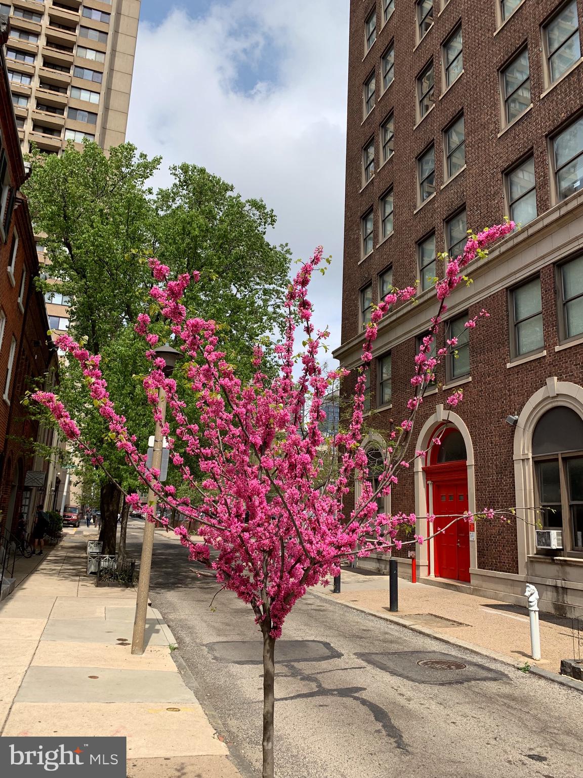 WASHINGTON SQ WEST - Residential Lease