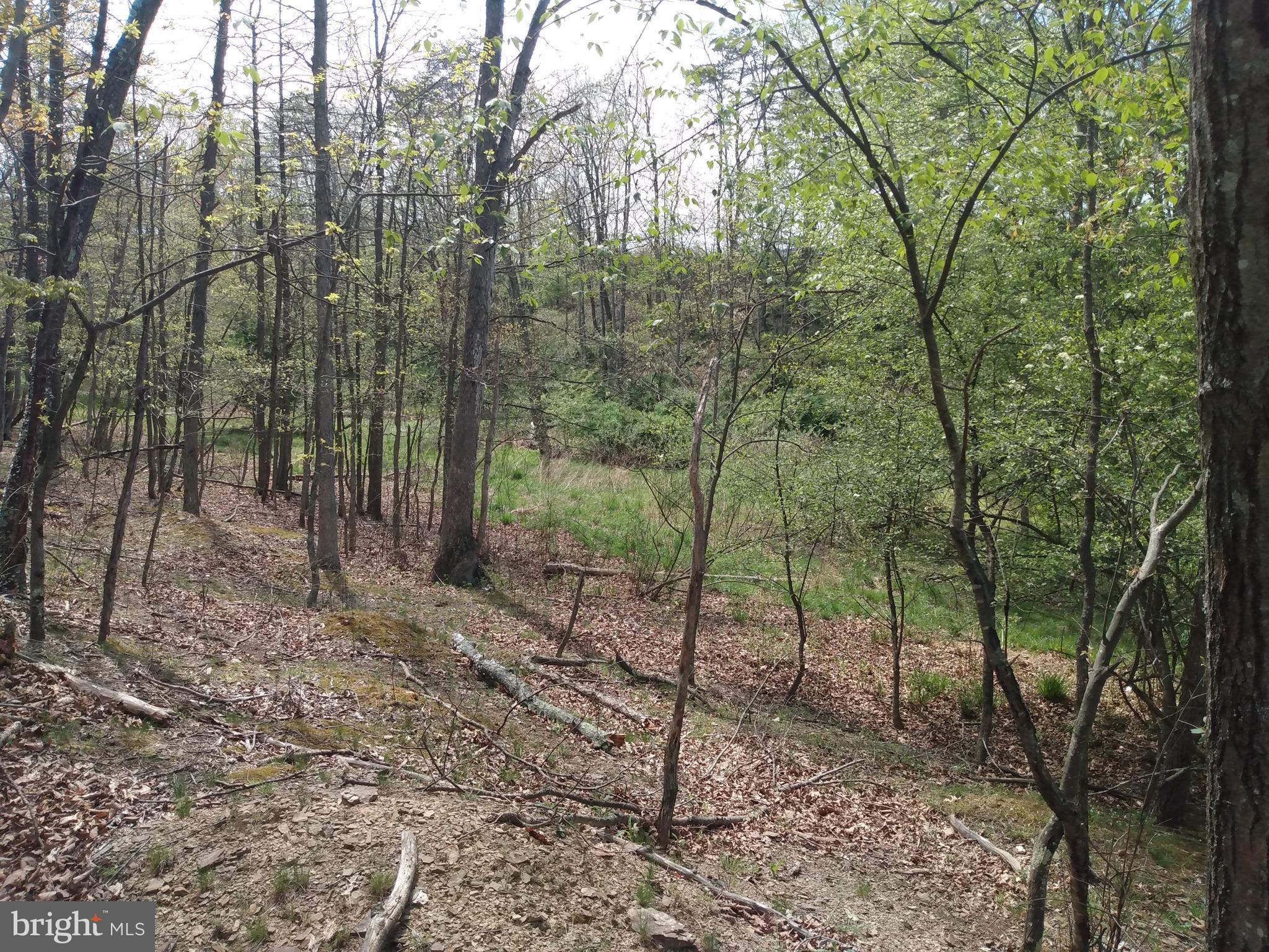 PARKSIDE ESTATES - Land