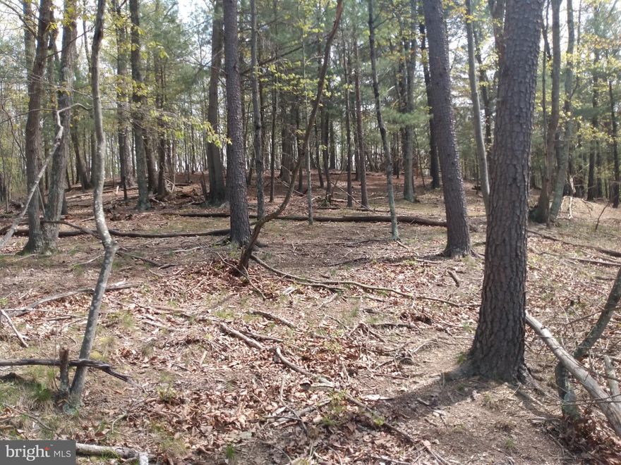 Excellent building lot, 4. 5 Acres with  black top road frontage, lake view,  septic permit. Near 522 for an easy commute and close to the the Cacapon State park and Berkeley Springs for all your outdoor activities, Shopping and Culture. Small lake just across the lane. Take a look soon before it too late!