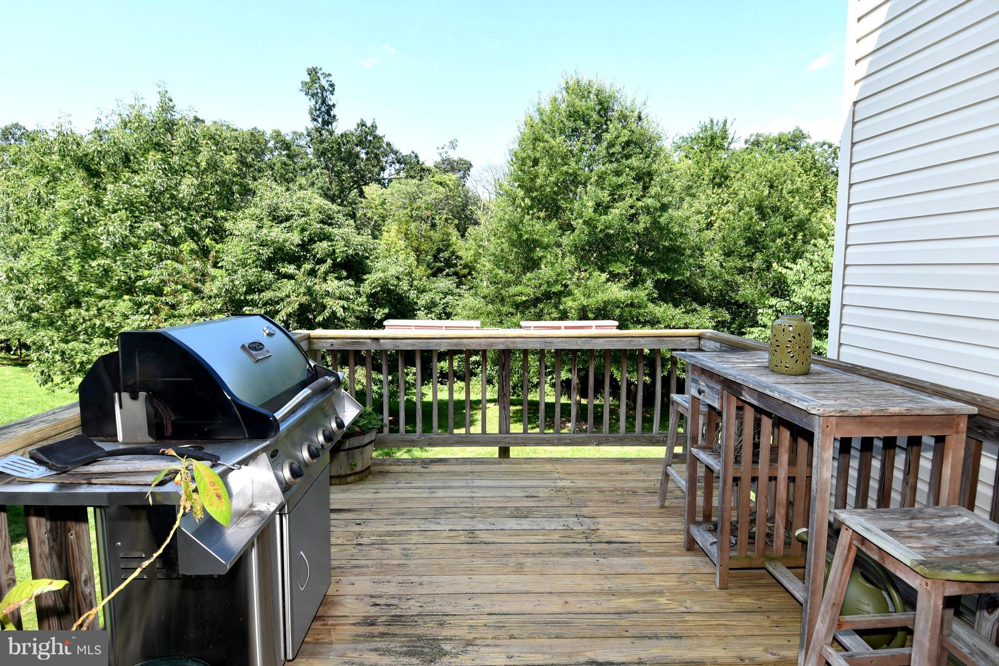 BRAEMAR/VILLAGES AT SAYBROOKE - Residential