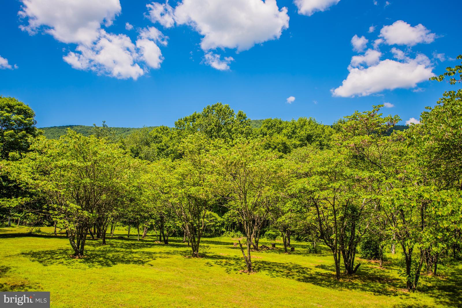 ROCK GAP WOODS - Residential