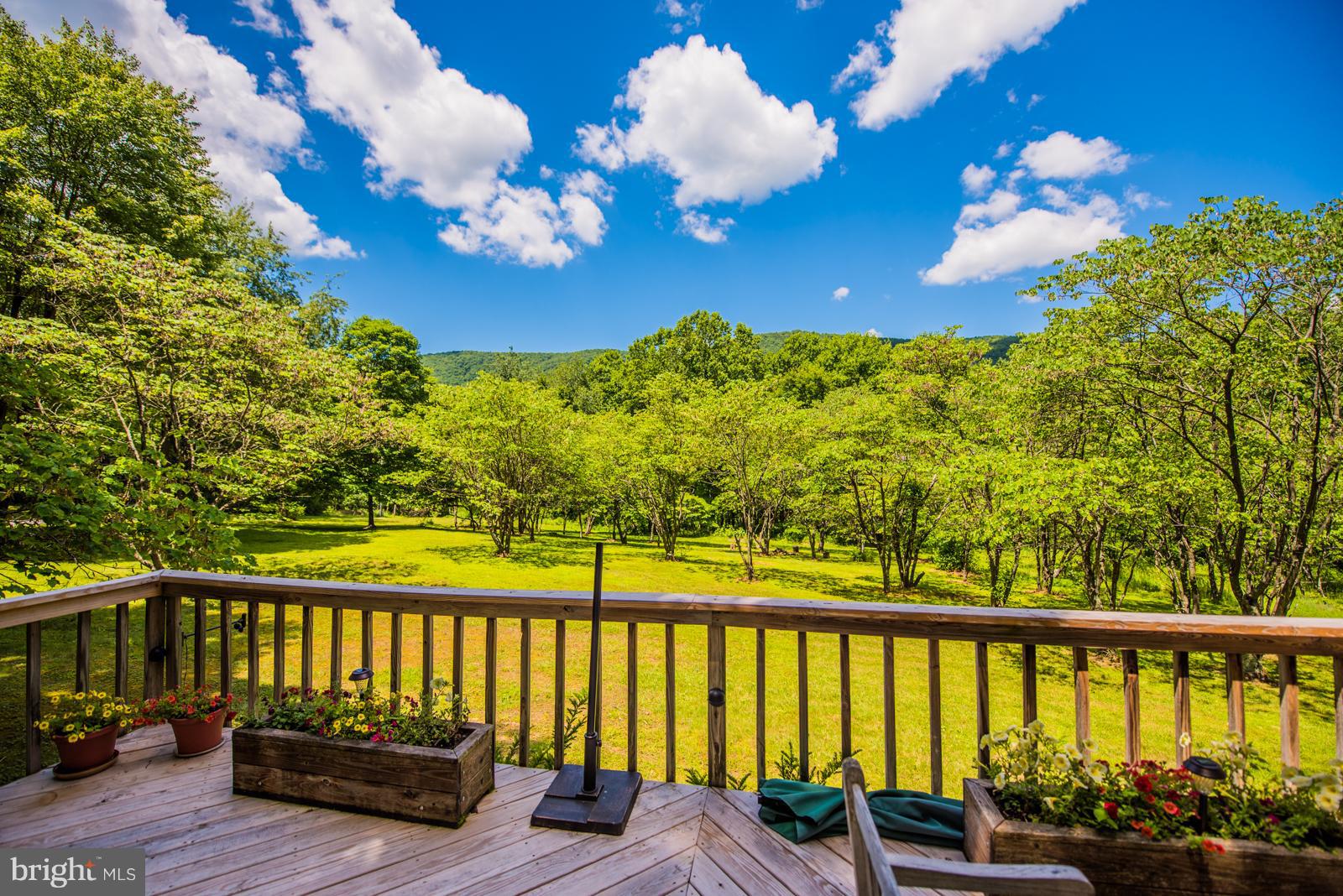 ROCK GAP WOODS - Residential