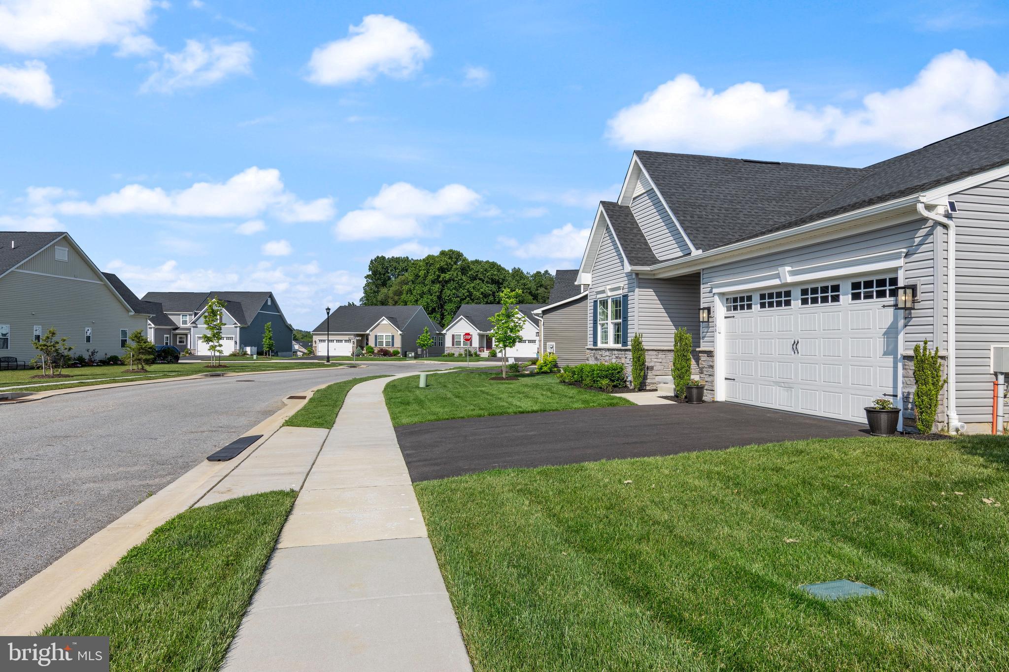 BIG ELK - Residential