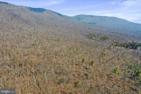 Vacant Land For Sale - TBD Rocky Top Lane<br/> WOODSTOCK, VA 22664