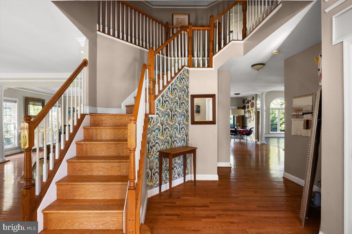 MEADOW BRANCH SOUTH - Residential