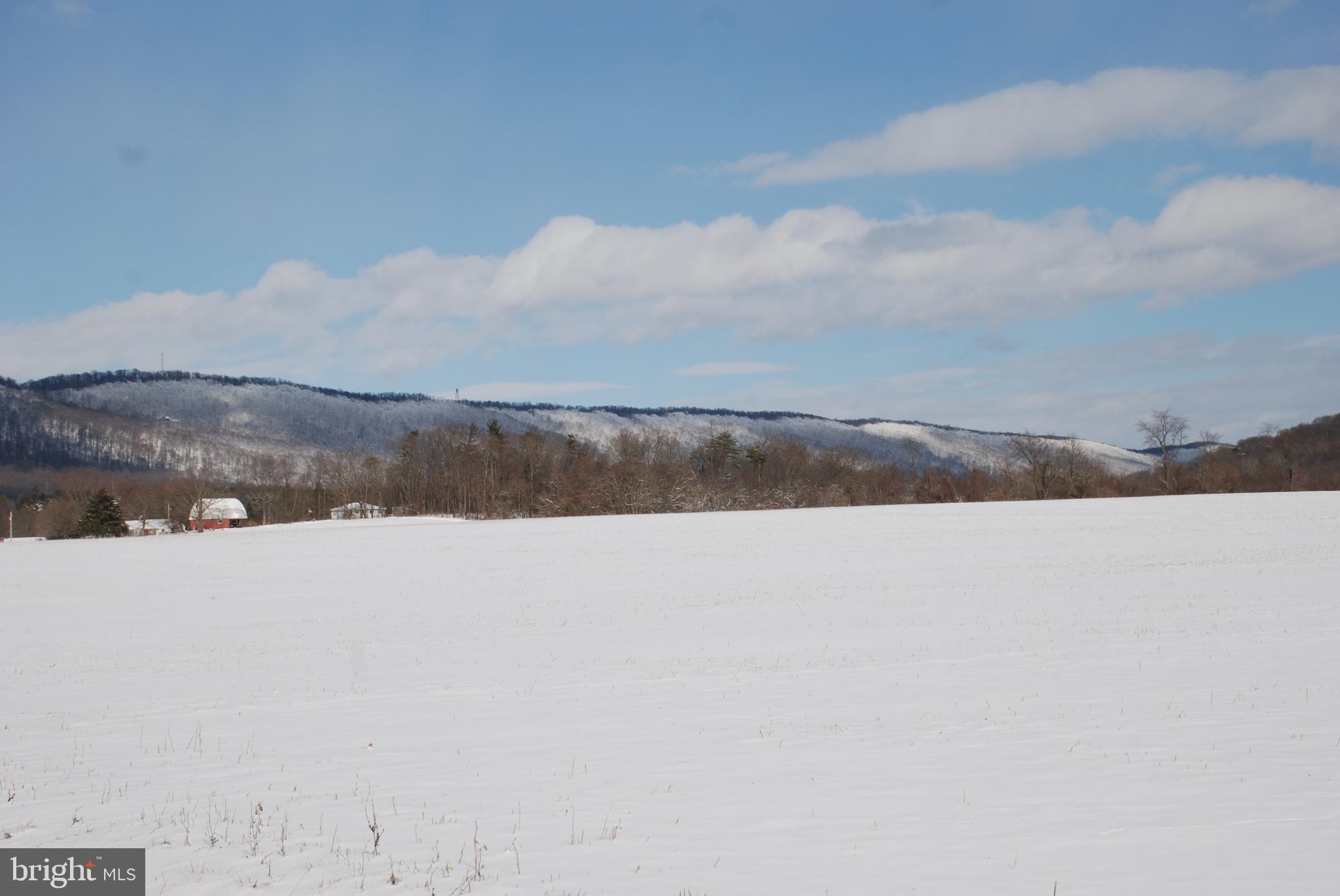 CHESTNUT HILL - Land