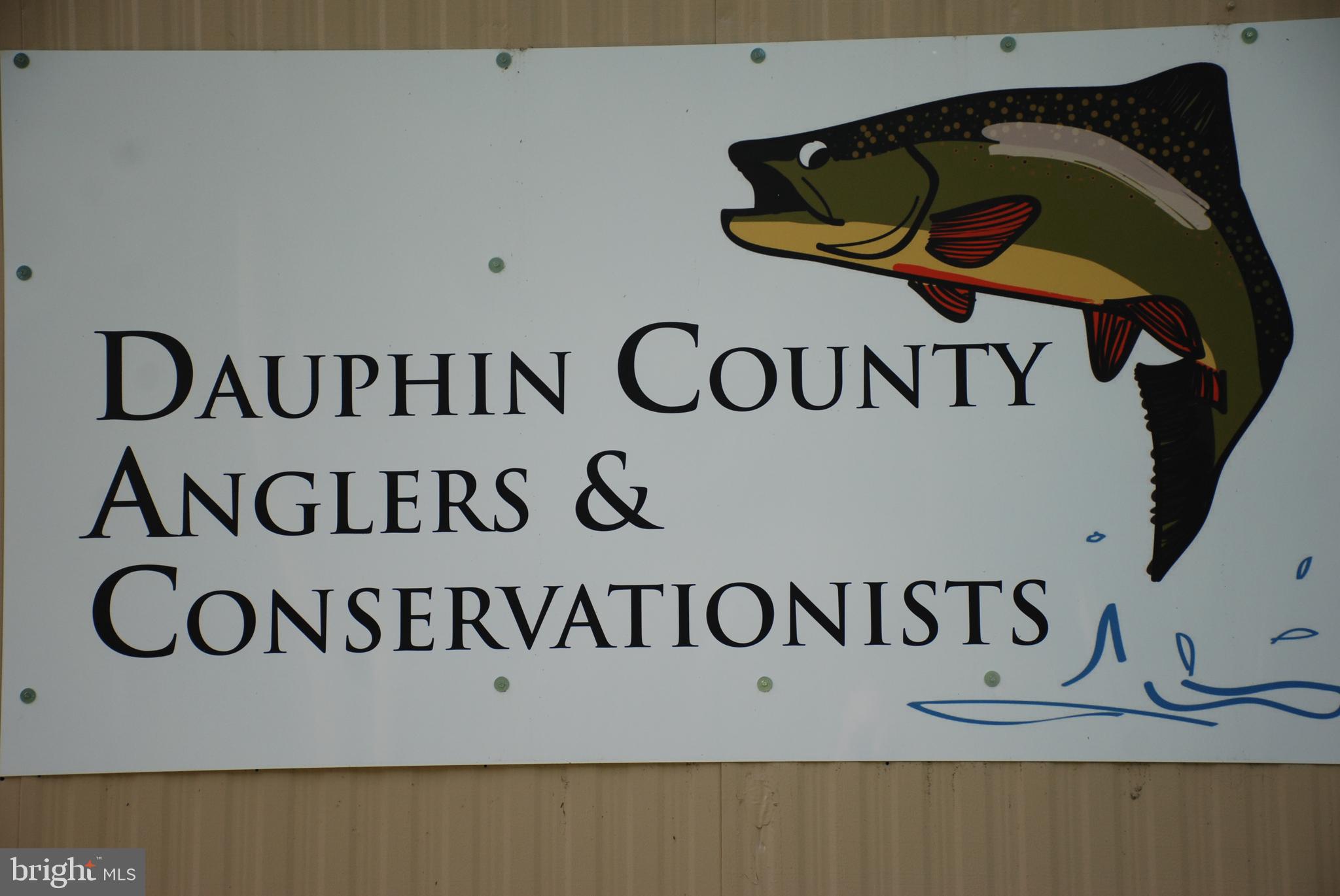 CHESTNUT HILL - Land