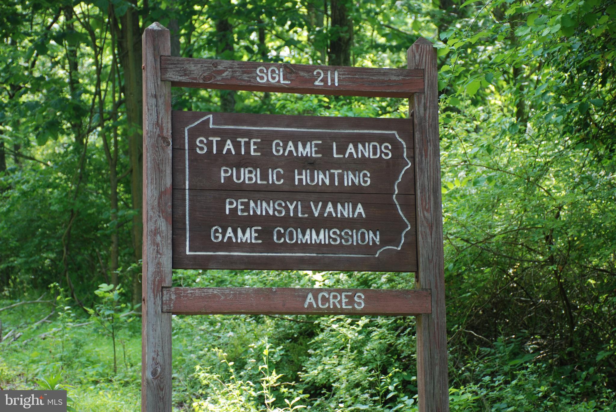 CHESTNUT HILL - Land