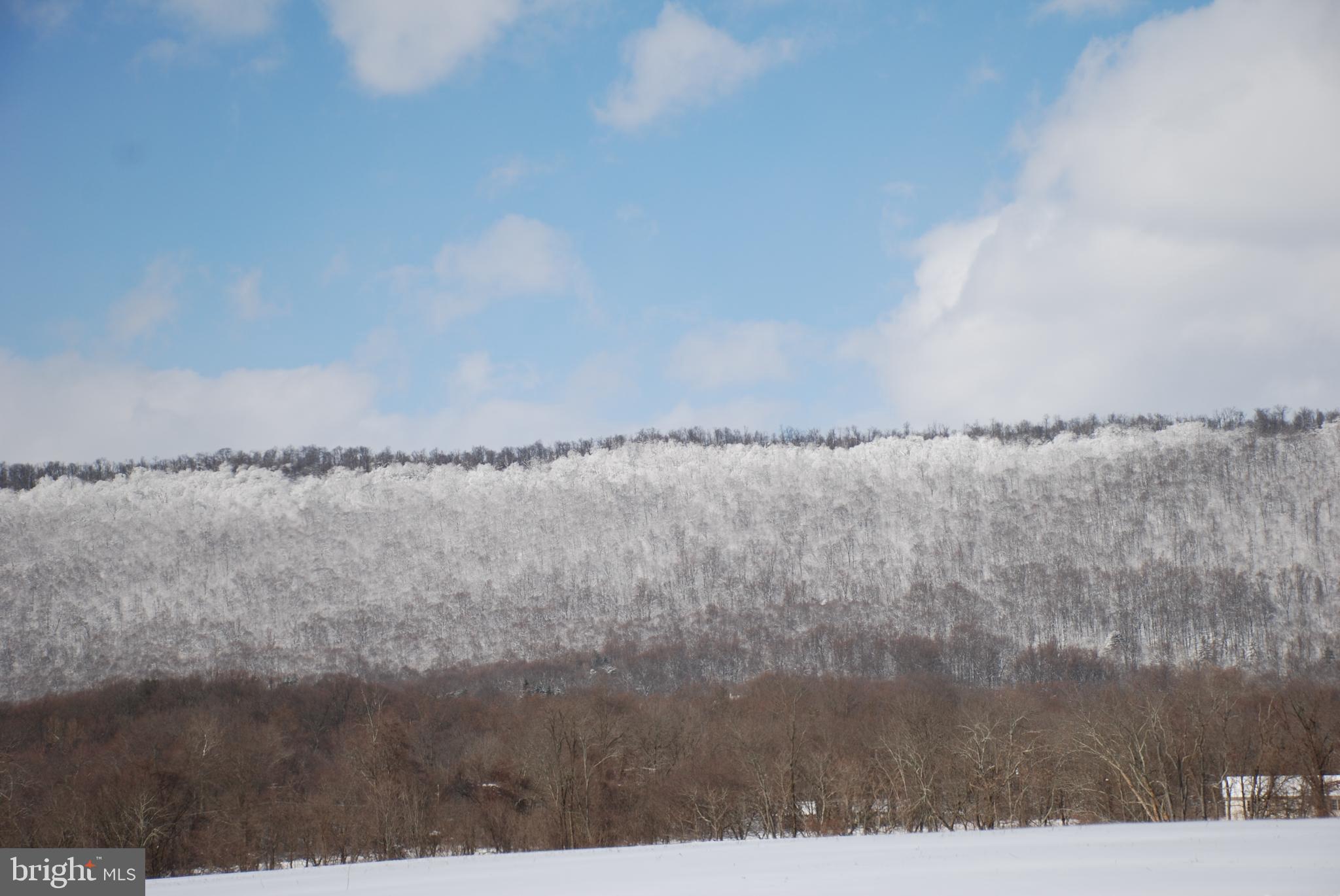 CHESTNUT HILL - Land