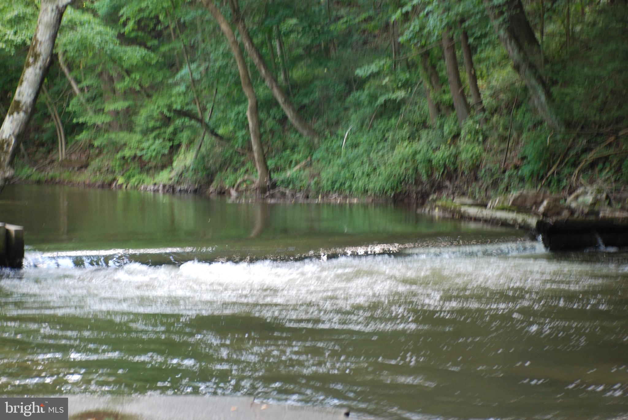 CHESTNUT HILL - Land