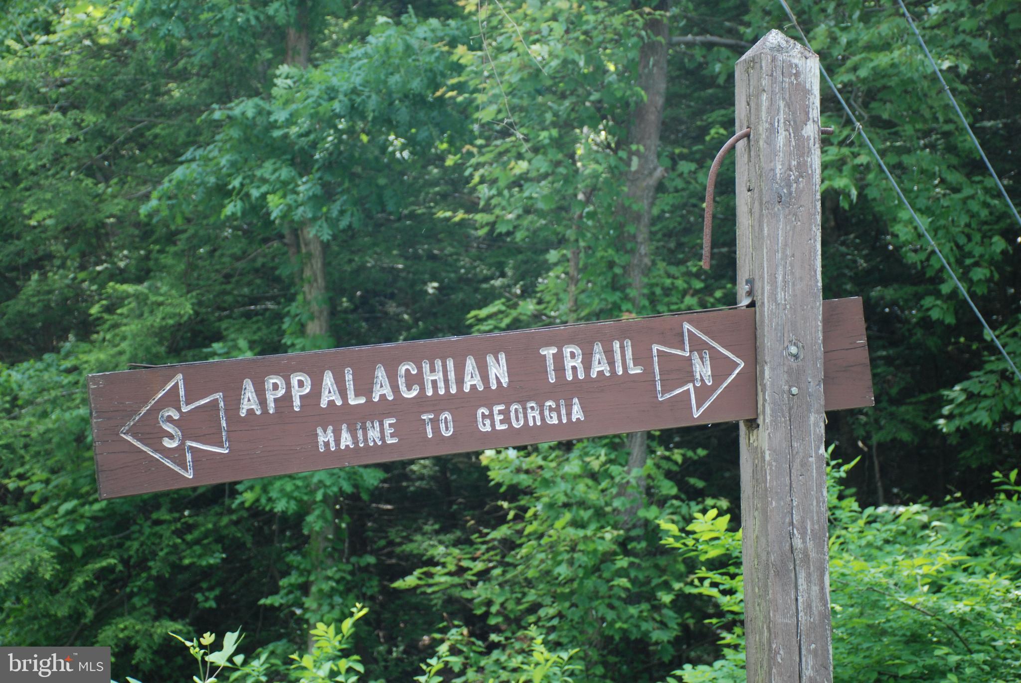 CHESTNUT HILL - Land