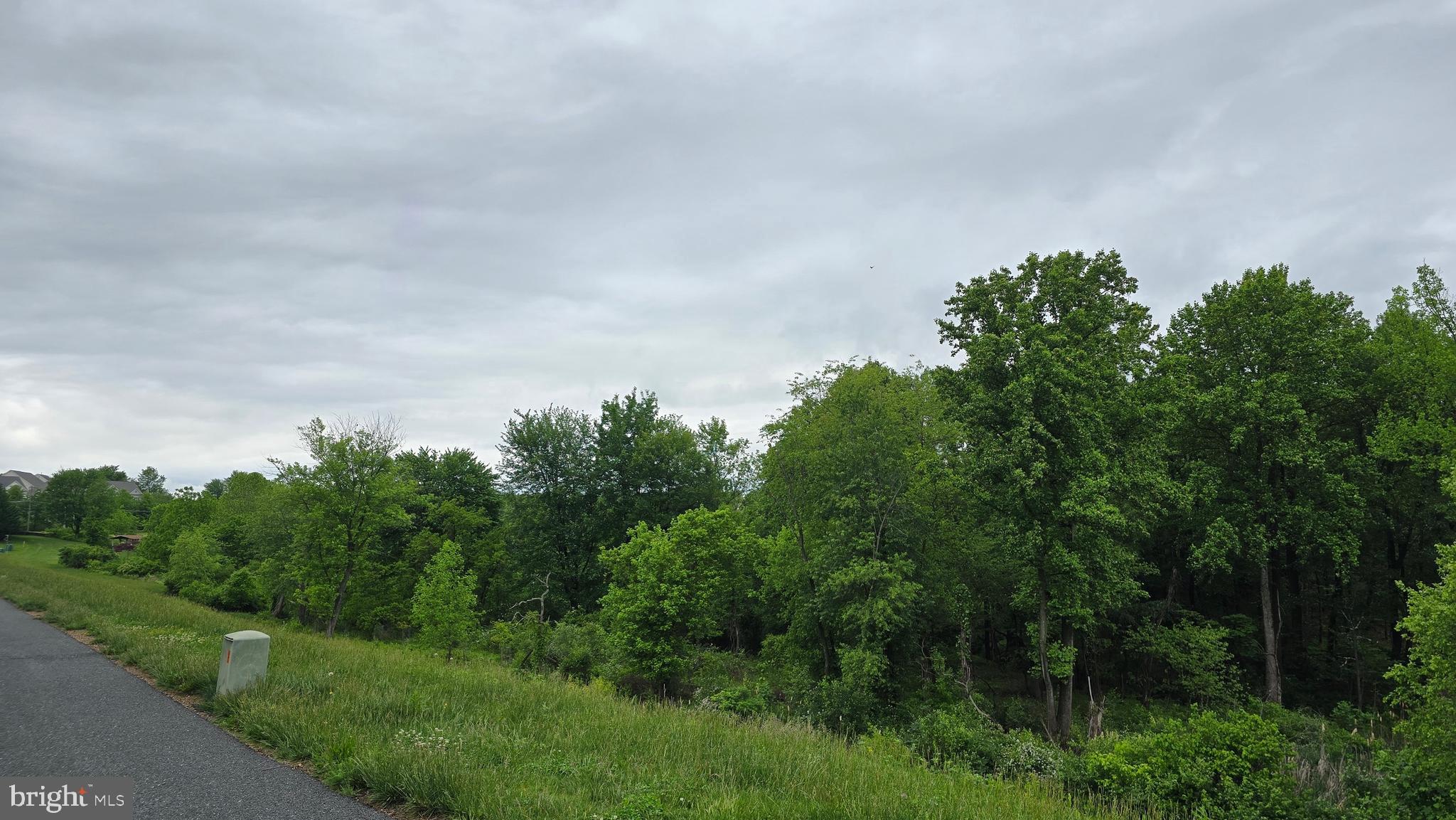 CLARKSBURG TOWN CENTER - Residential