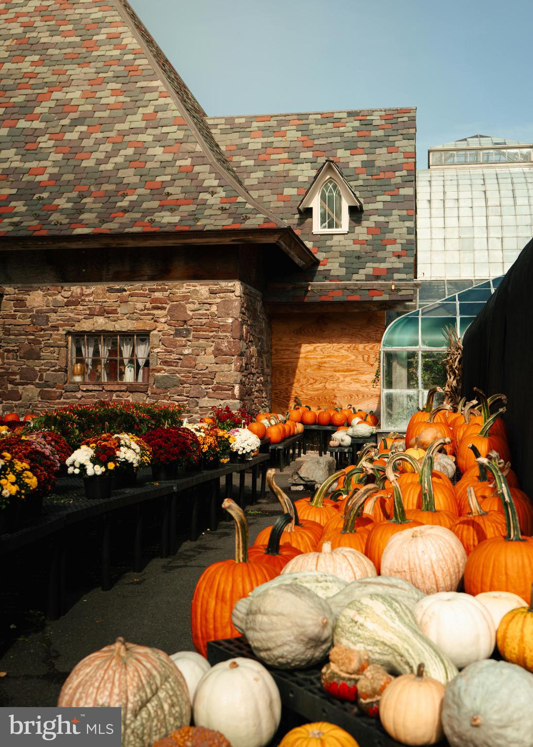 CARLISLE BOROUGH - Residential