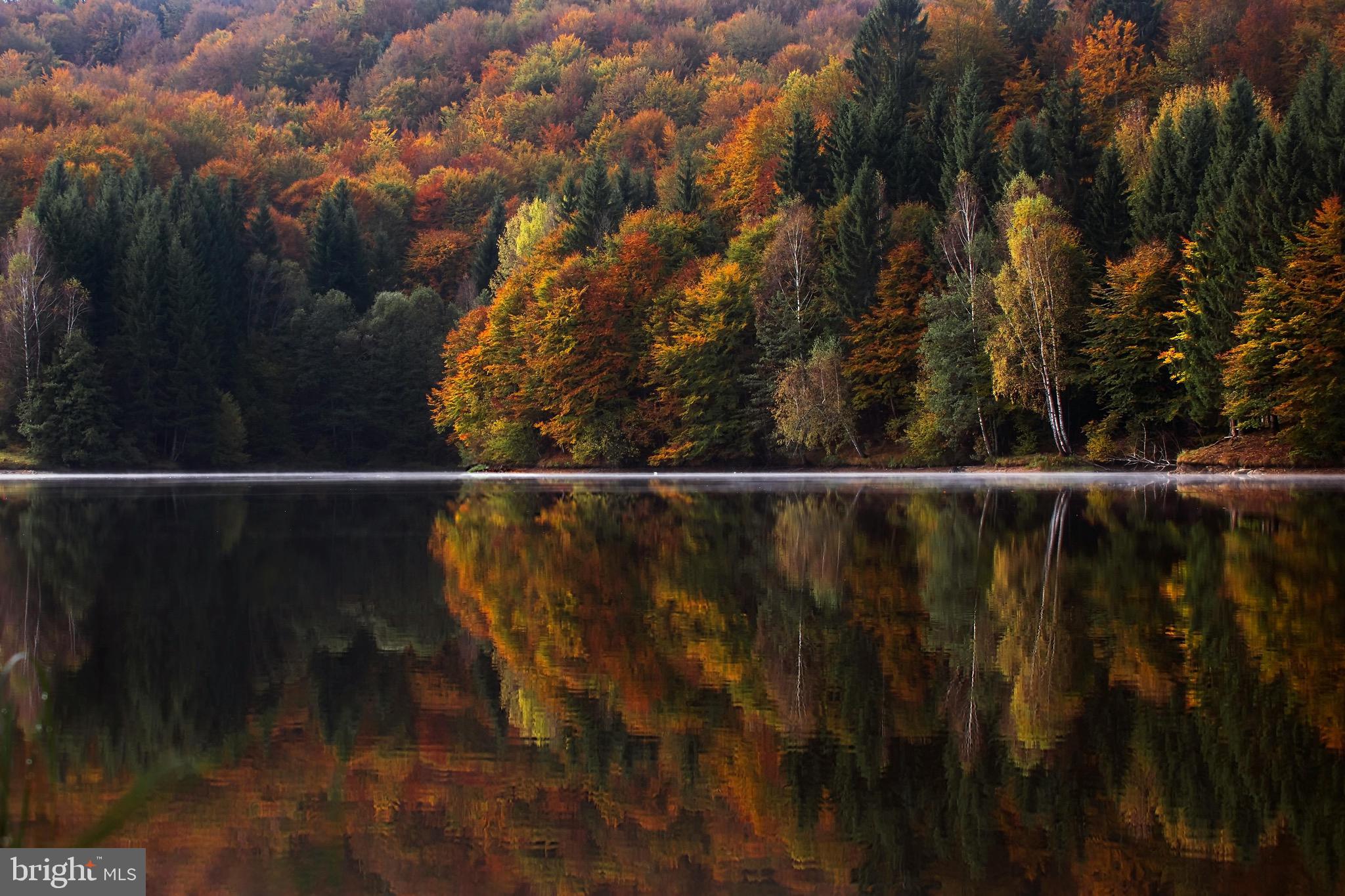 CARLISLE BOROUGH - Residential
