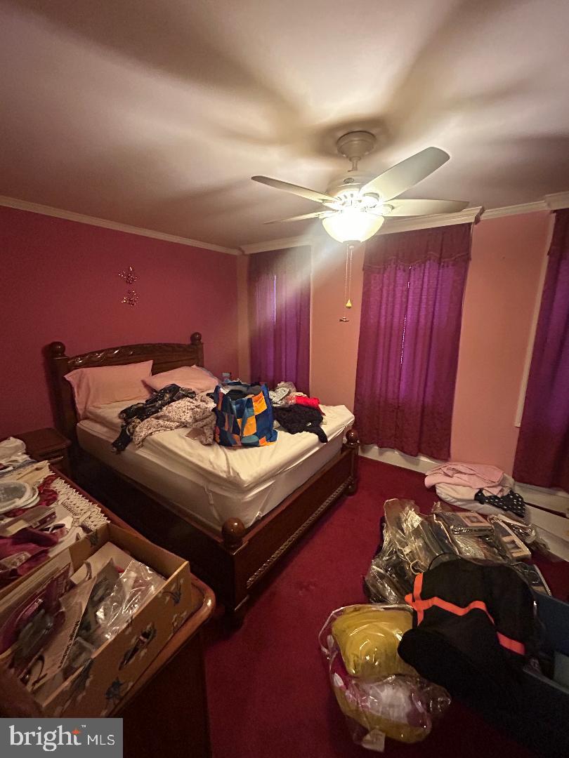 LOCUST POINT - Residential