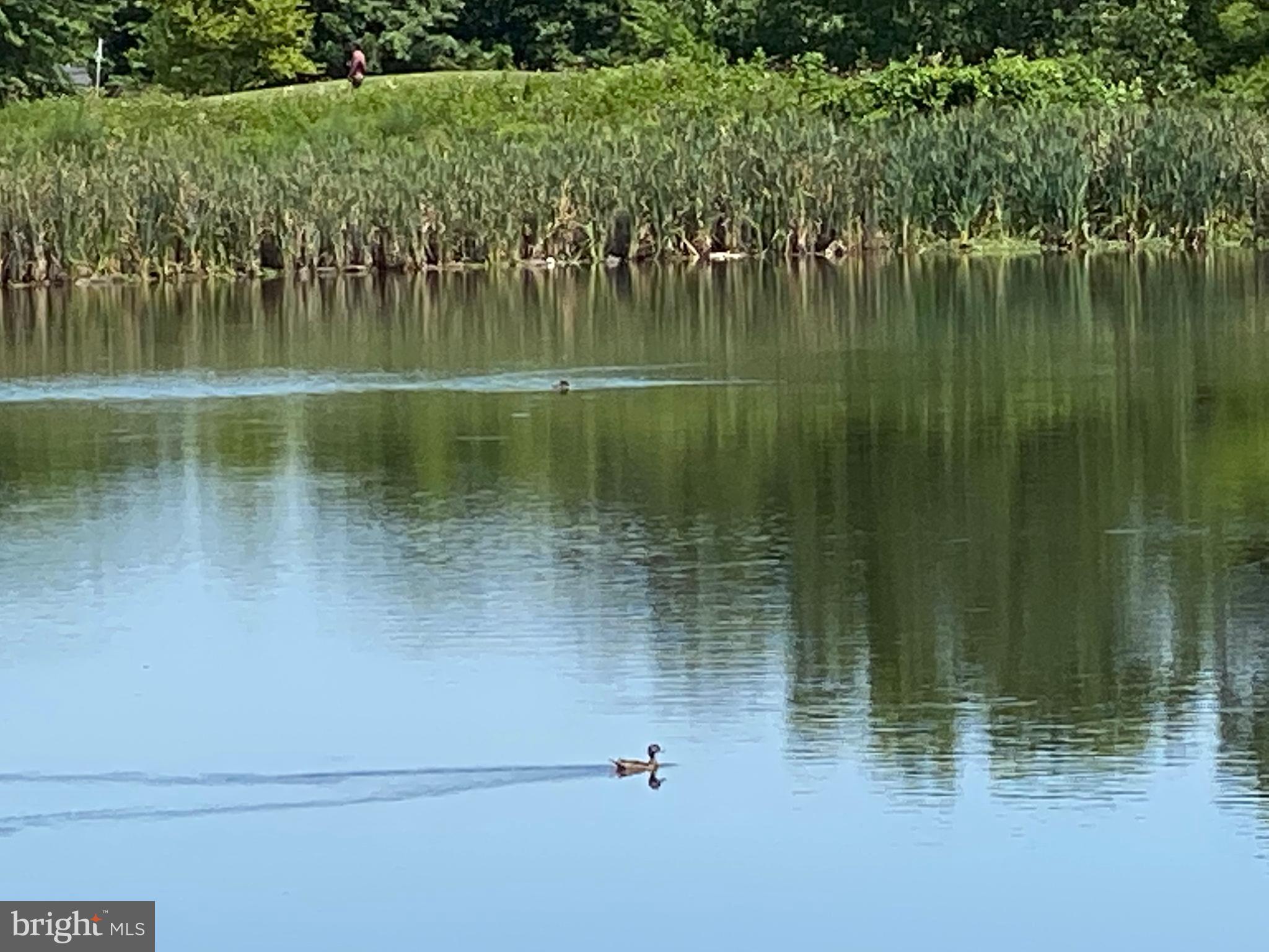 SOUTH RIDING - Residential