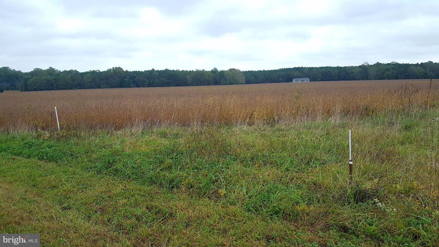 3 acres of almost completely cleared land in Richmond County, near Warsaw, Virginia.  Property is bordered by woods on 3 sides for added privacy.  Approved for 3 BR perk.  All ready for you to build and make your own!