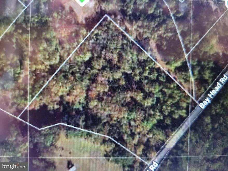 Build your dream home using your builder or ours! This is truly an amazing 6.7 acre (+/- NOTE THE TAX RECORD IS WRONG)  estate-home lot in a beautiful part of the County. The shared portion of the driveway (which connects to the 9+ acre lot behind it) is cleared. Perc is approved. File your grading and building permits and get going!