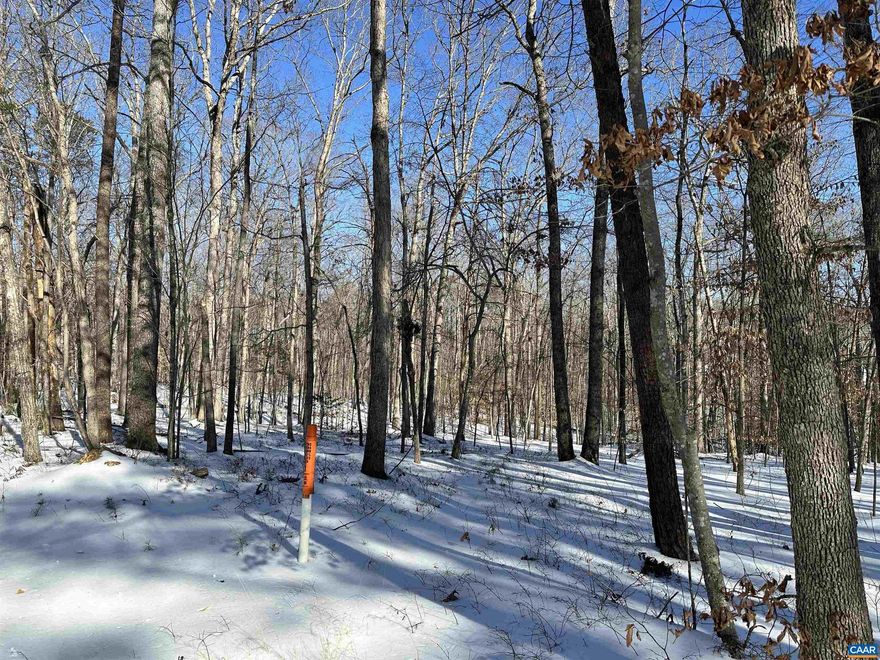 Nearly 7 acres of prime, build-ready land in the Keswick area, offering the rare combination of privacy, beauty, and convenience. This 6.93-acre parcel is nearly level and fully wooded with mature hardwoods, creating an ideal setting for a custom home tucked into a peaceful natural landscape. Whether you envision a classic Virginia farmhouse, modern retreat, or legacy property, the terrain and setting provide an exceptional canvas.  Located on Beaverdam Road along the western edge of Louisa County, the property enjoys frontage on a fully paved, state-maintained two-lane road known for its scenic drive and quiet character. From this location, you can reach the City of Charlottesville in approximately 15 minutes, making it easy to enjoy world-class dining, shopping, UVA, and medical facilities while returning home to the quiet of the countryside.  The parcel is well-suited for a high-quality custom residence and is being offered at a premium to reflect its location, usability, and long-term value. Fiber optic cable runs along Beaverdam Road, providing access to high-speed broadband internet?an essential feature for today?s connected households.,Lot #2 Keswick Acres