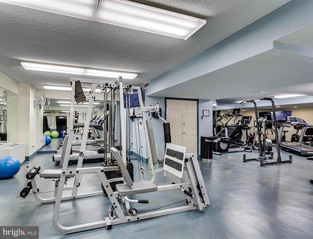 SKYLINE HOUSE - Residential Lease