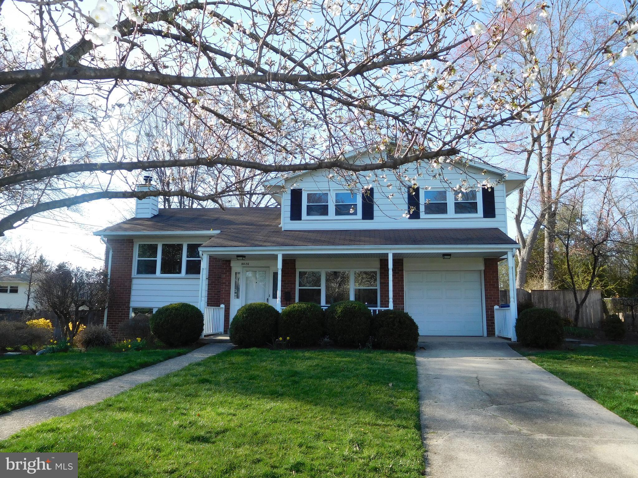 POTOMAC VALLEY - Residential Lease