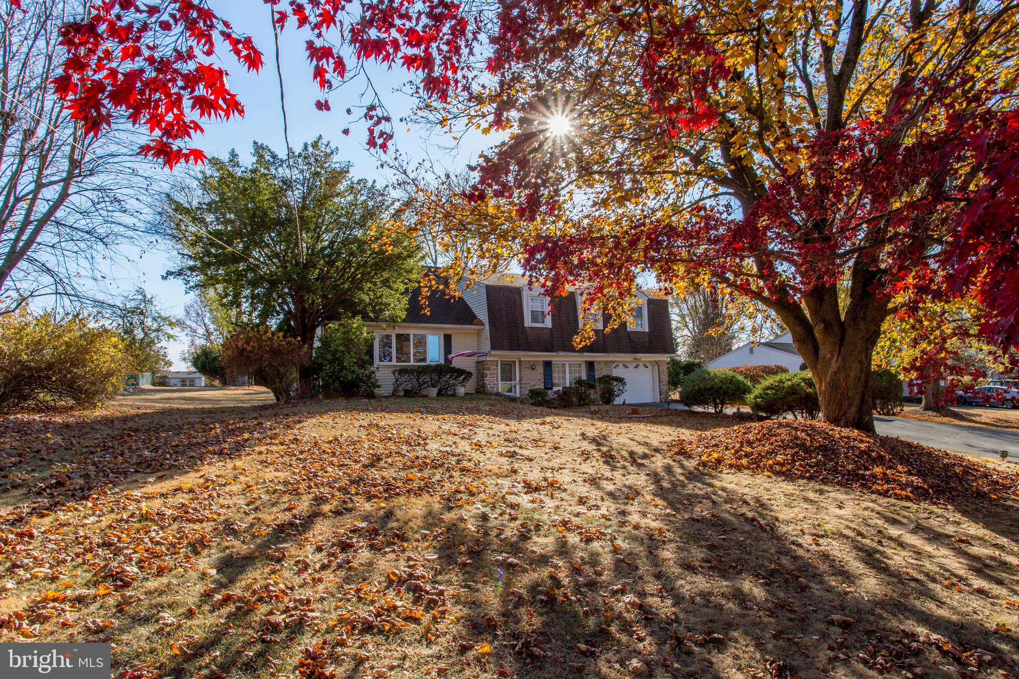 PINE TREE FARMS - Residential