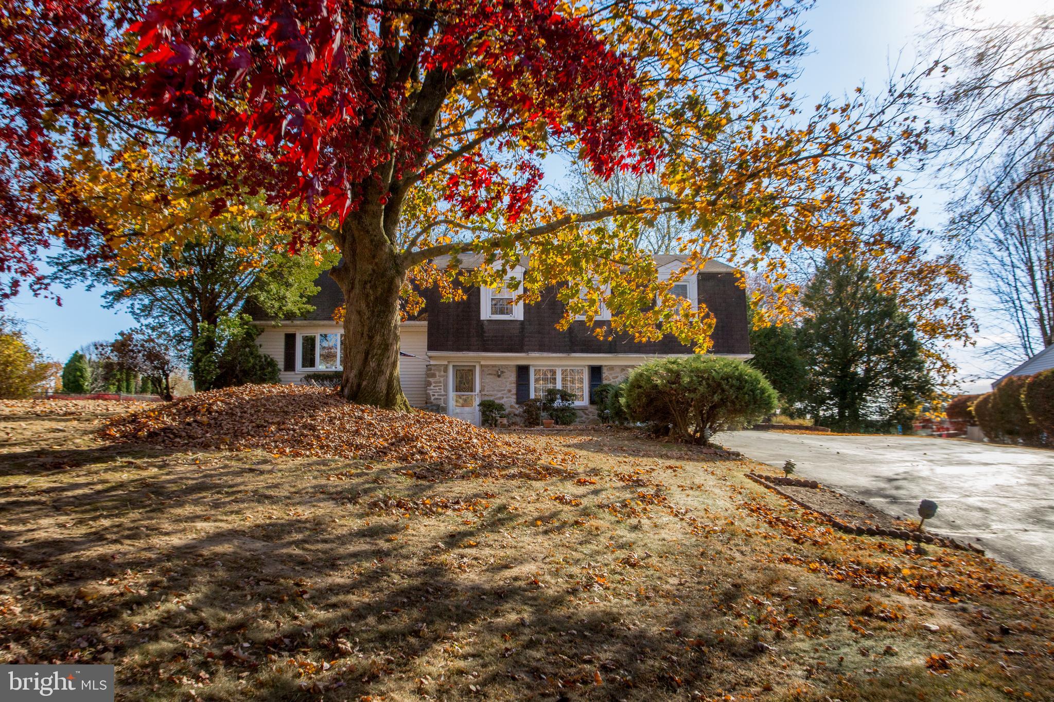PINE TREE FARMS - Residential