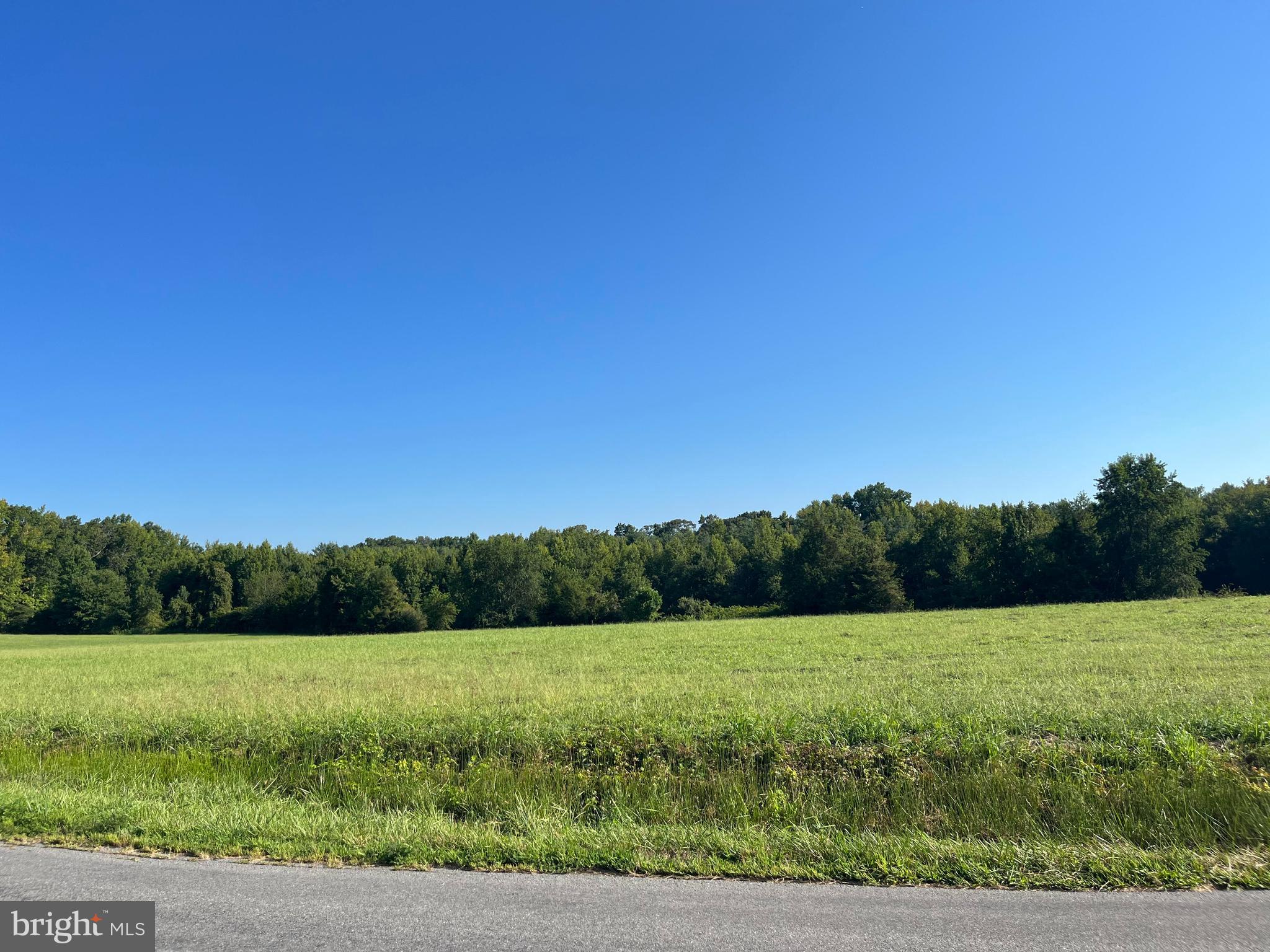 610 HOLLAND CREEK ROAD