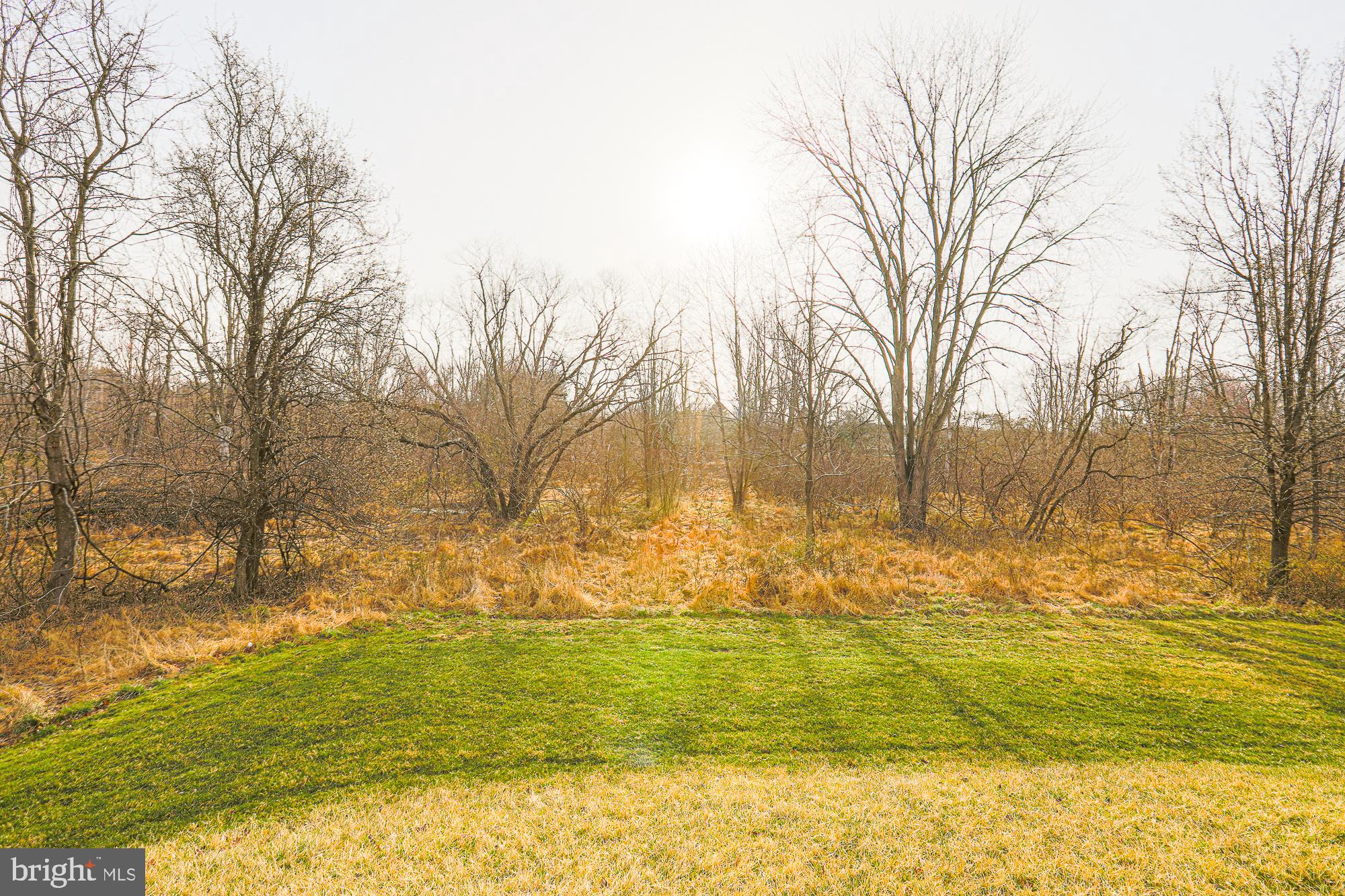 TOWNES AT BYNUM RUN - Residential