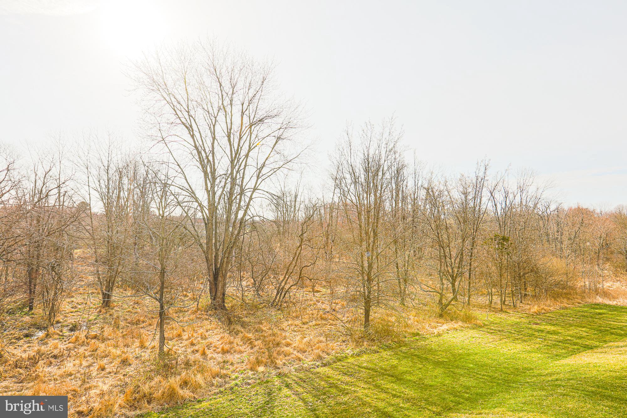 TOWNES AT BYNUM RUN - Residential