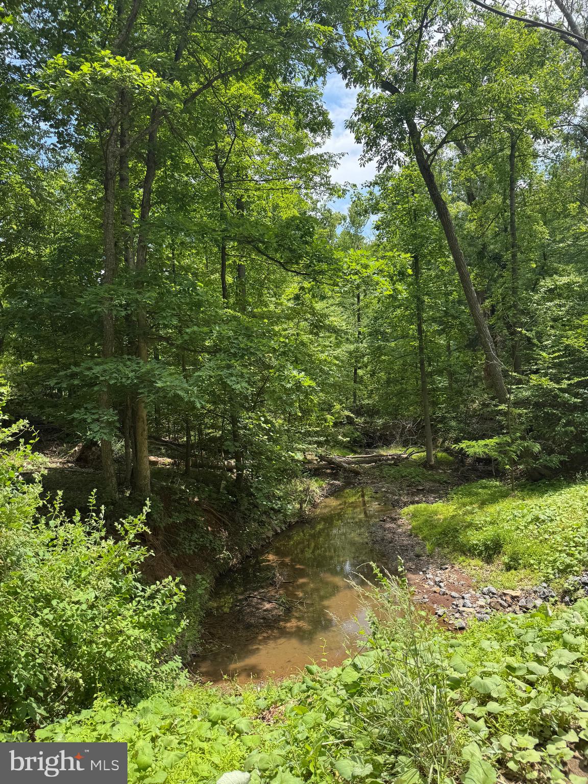Lot 35 MAVERICK TRAIL