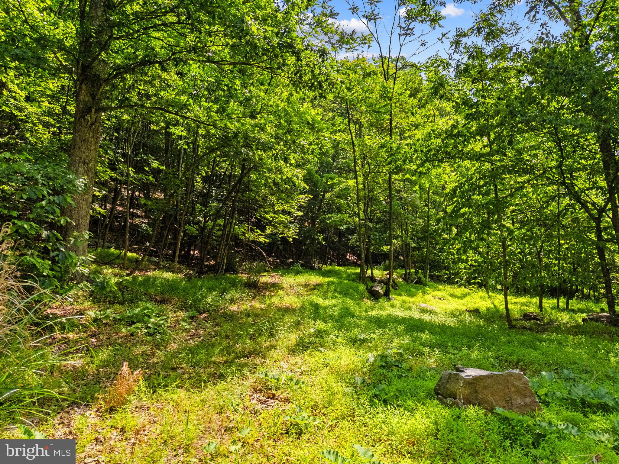 Lot 35 MAVERICK TRAIL