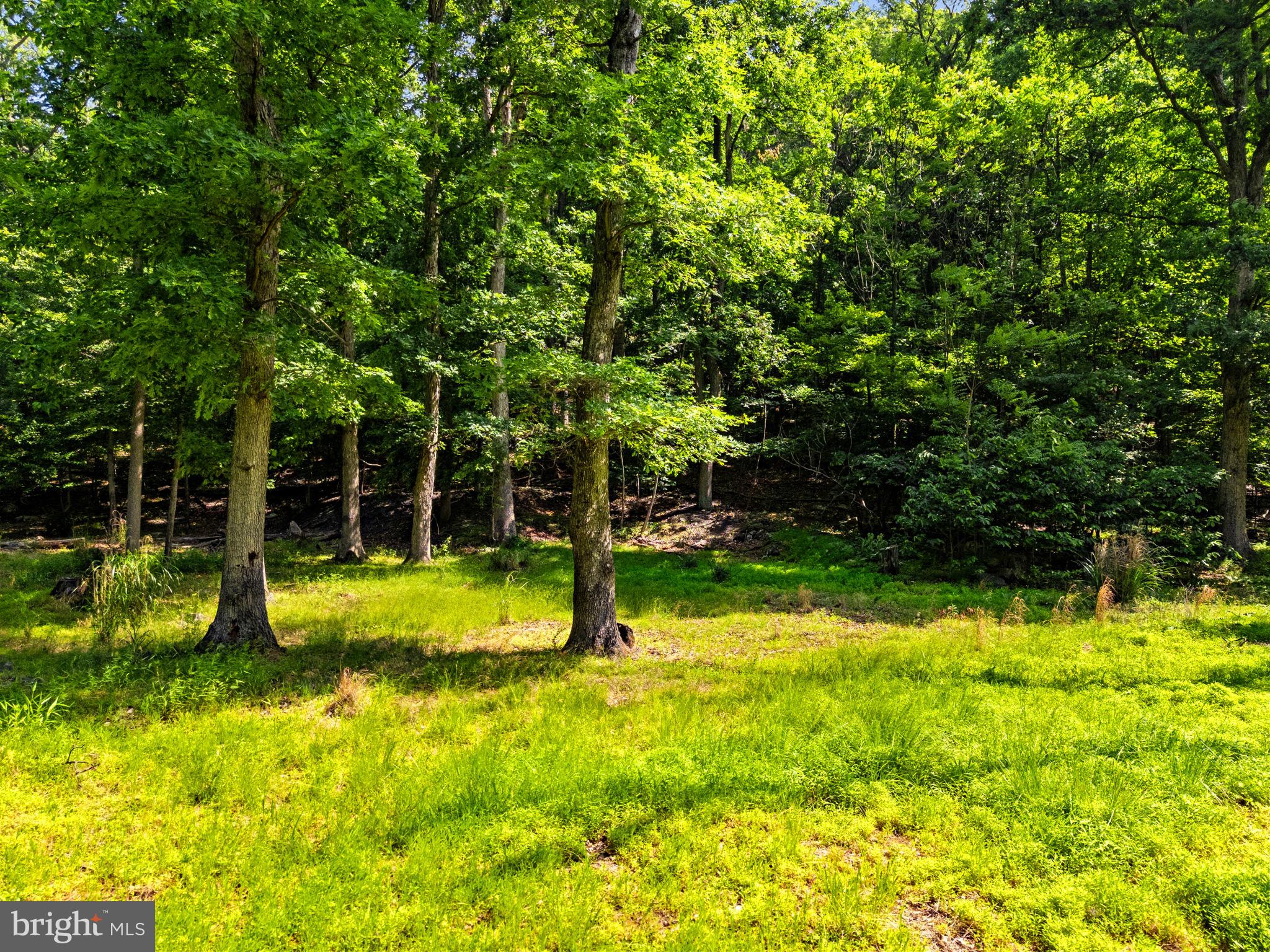 Lot 35 MAVERICK TRAIL