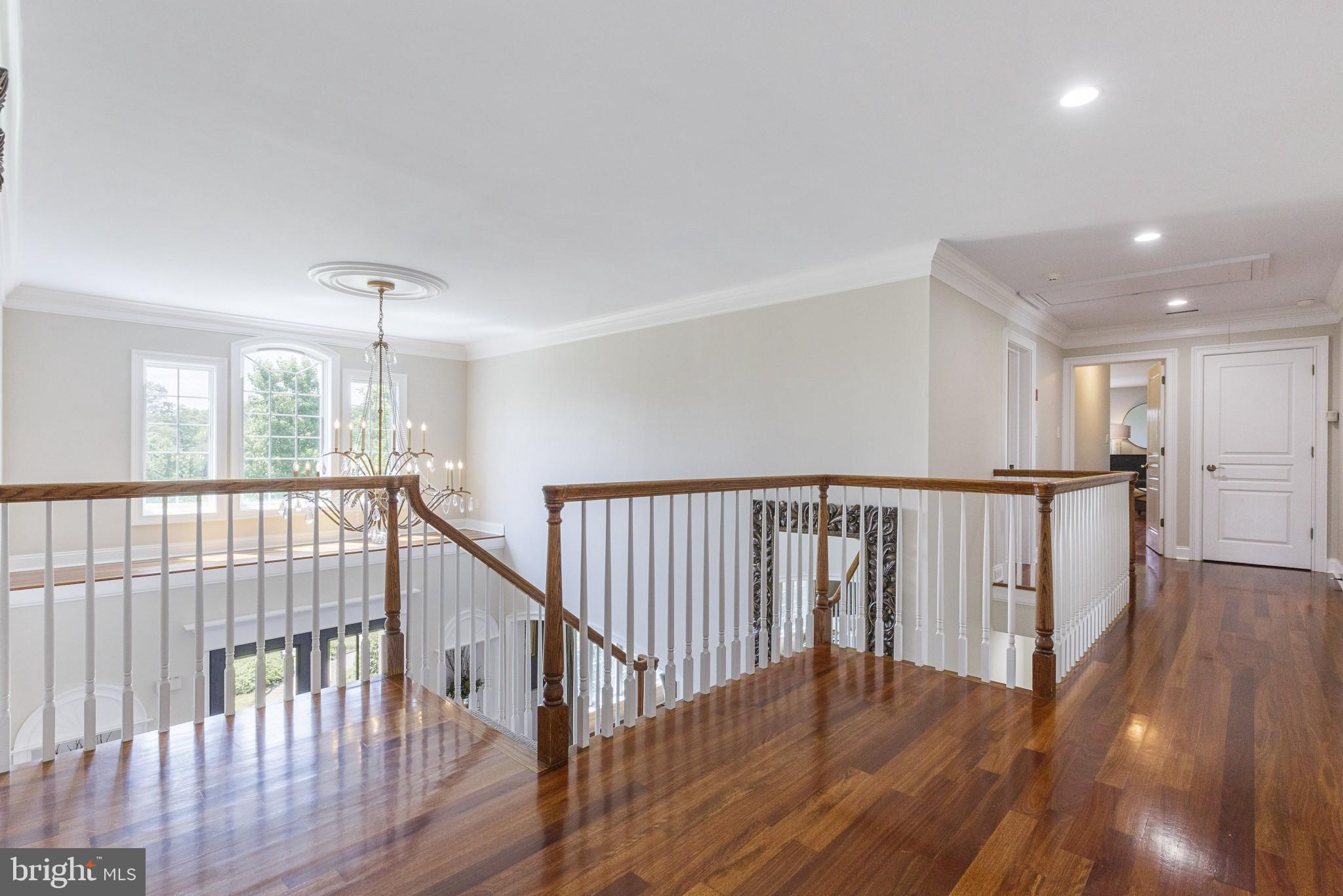 BELAMOUR - Residential