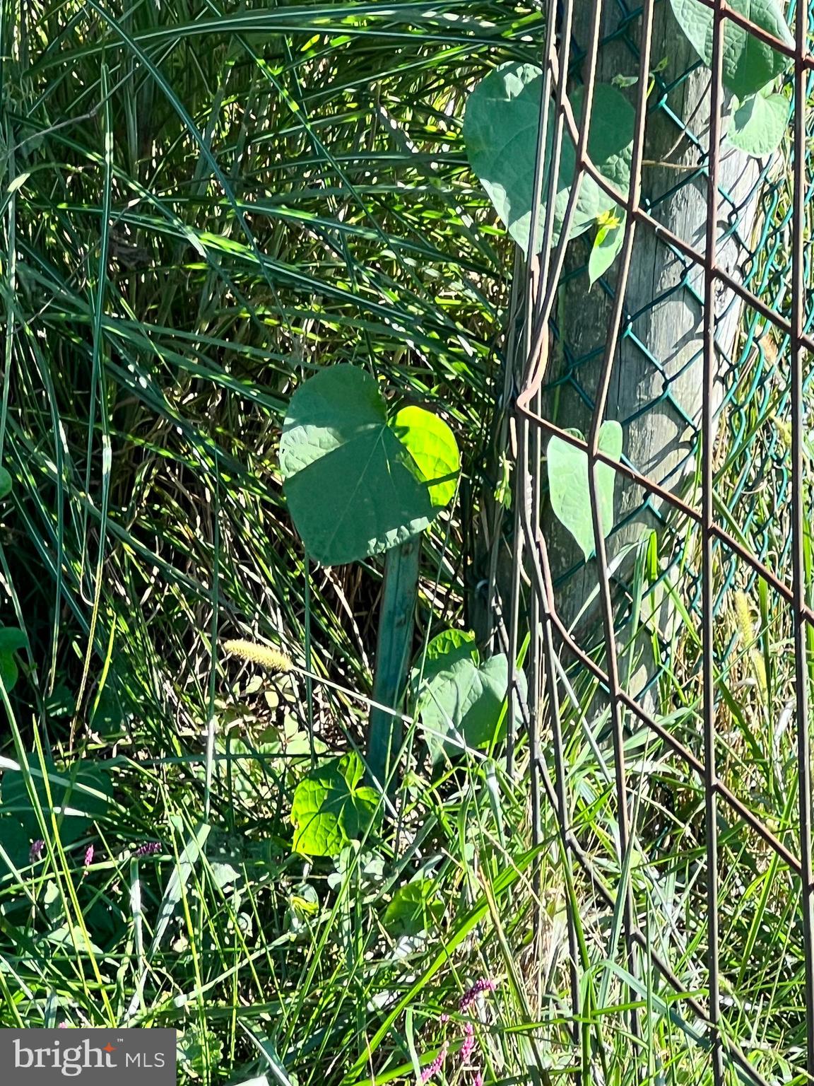 1203 DOUBLE GATE ROAD