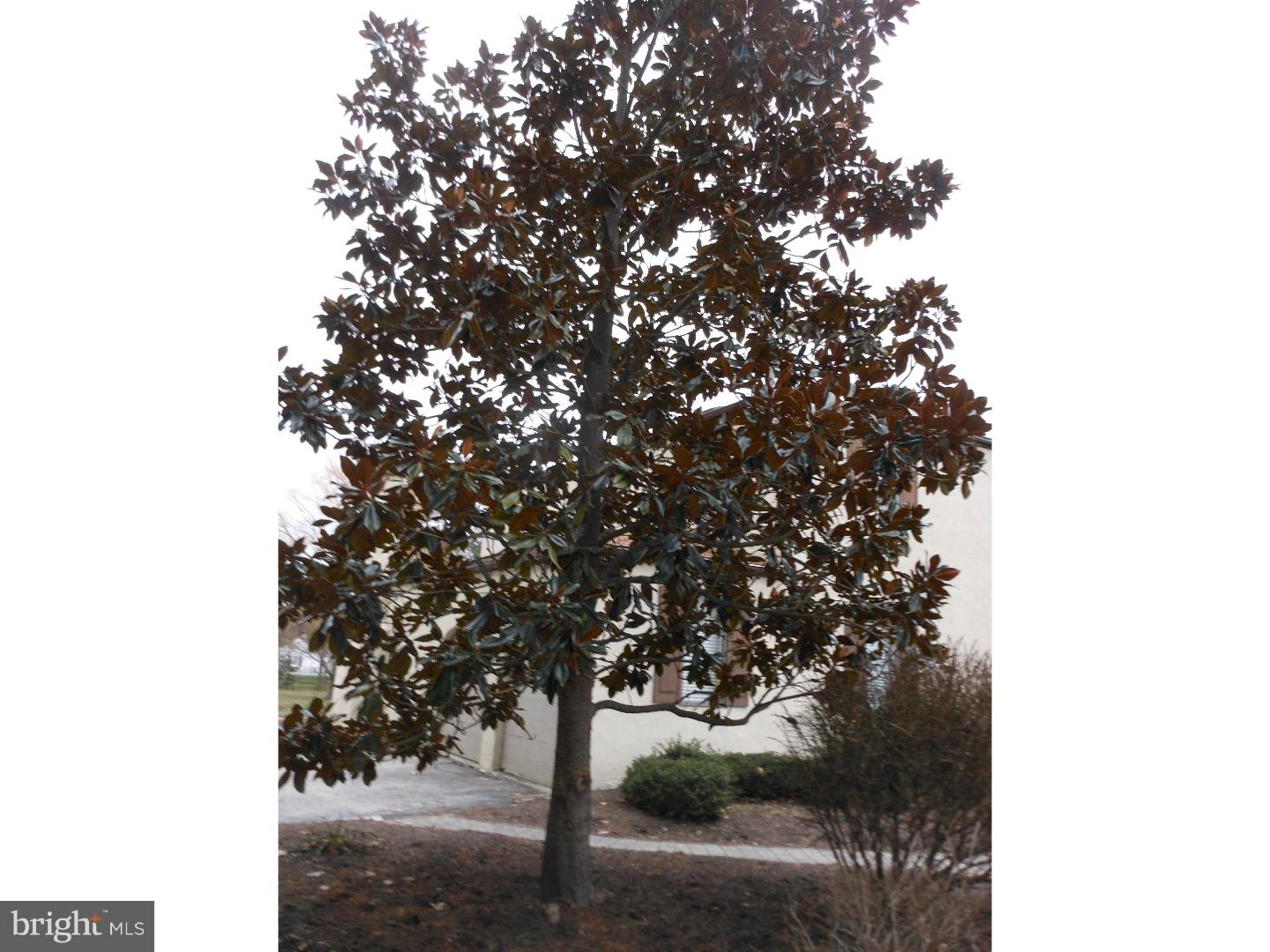BUTTONWOOD FARMS - Land