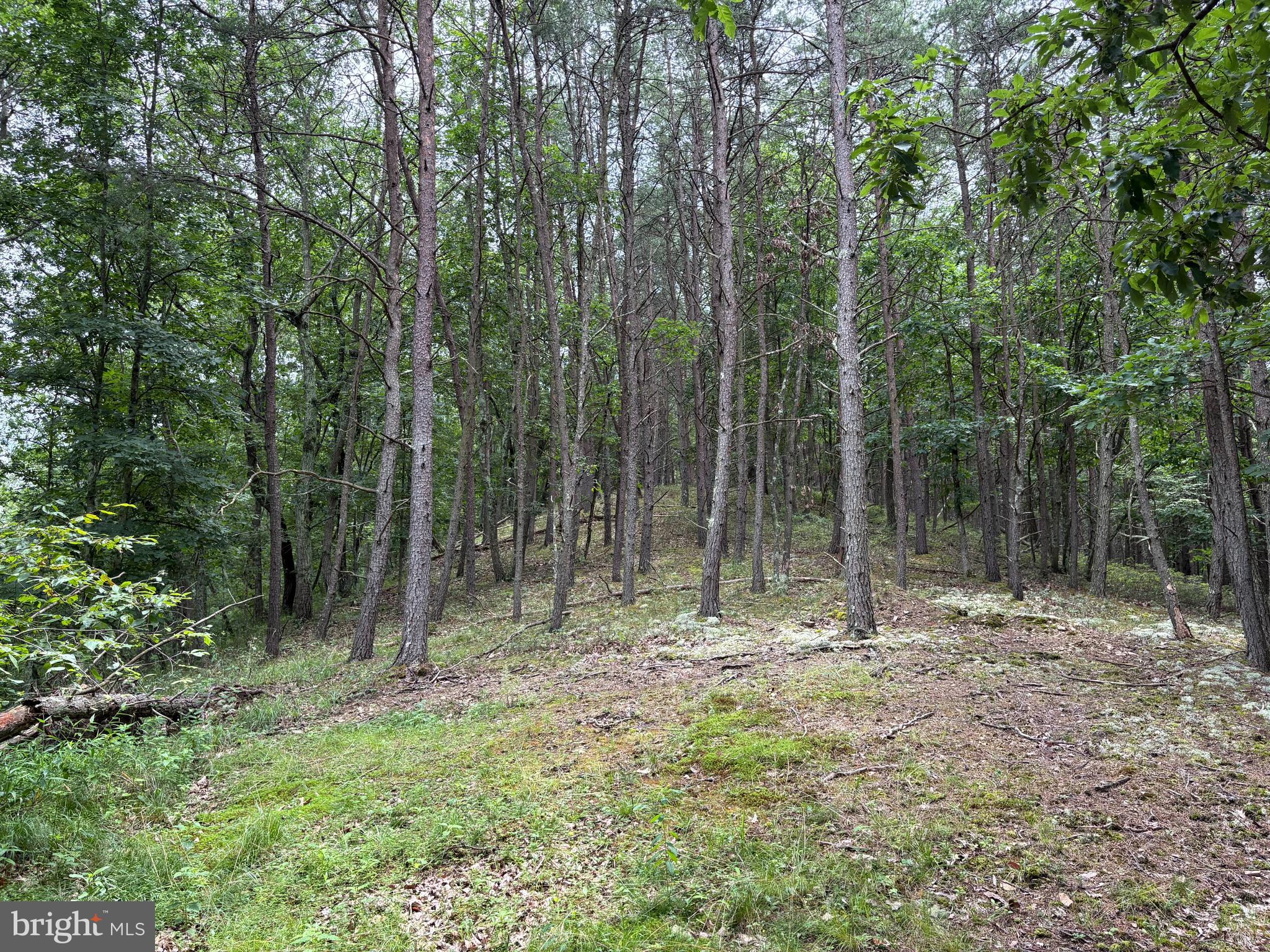 Lot 126 BLUFFS BLUE BEACH ROAD