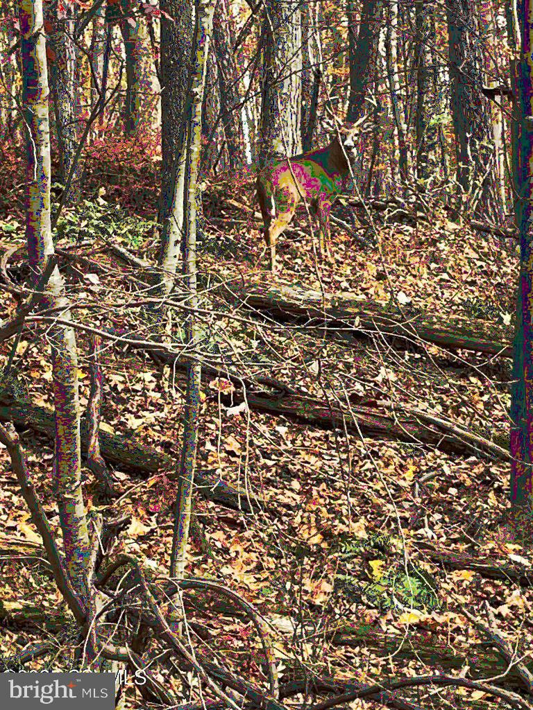 SUNBURY - Residential