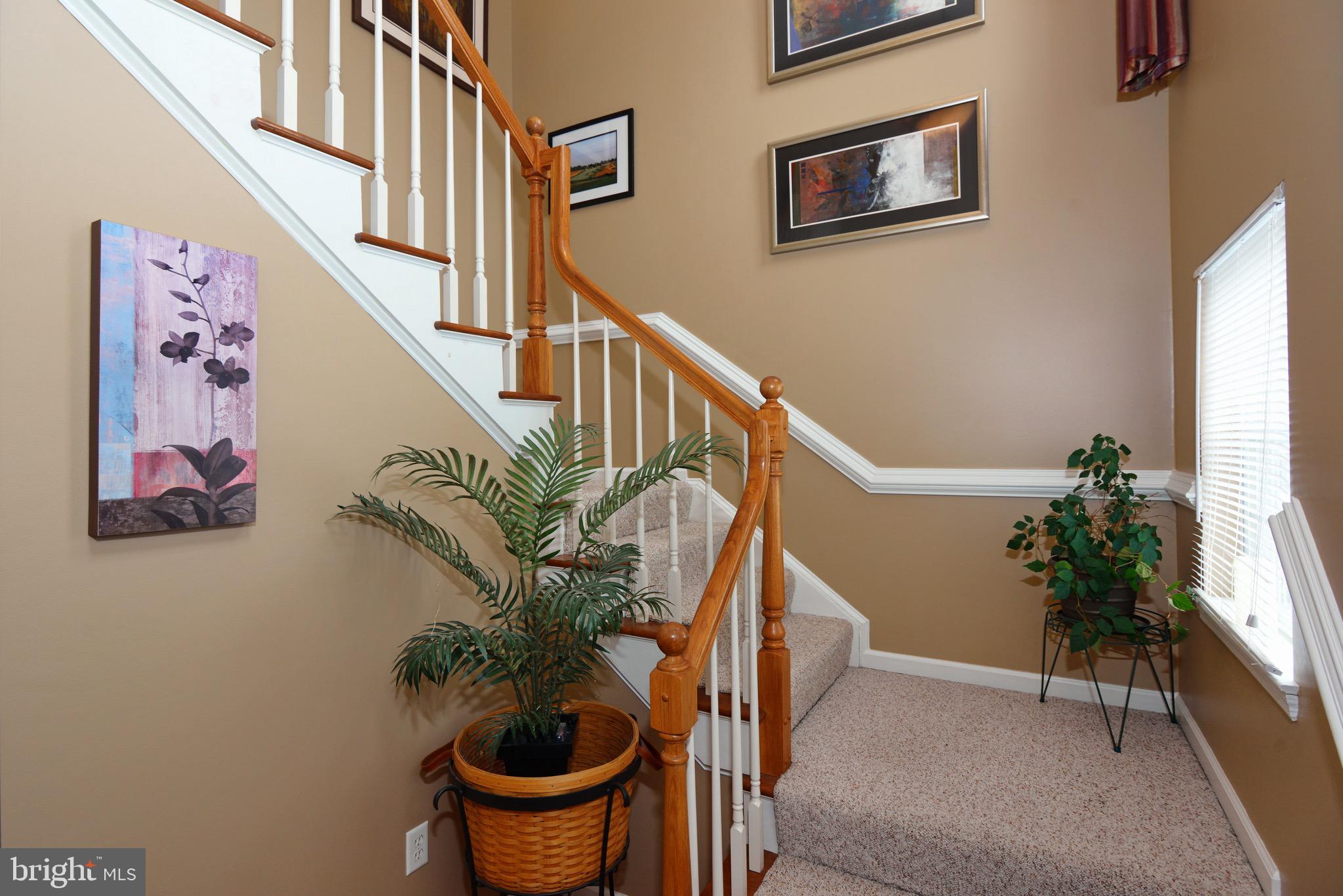 LINFIELD KNOLL - Residential