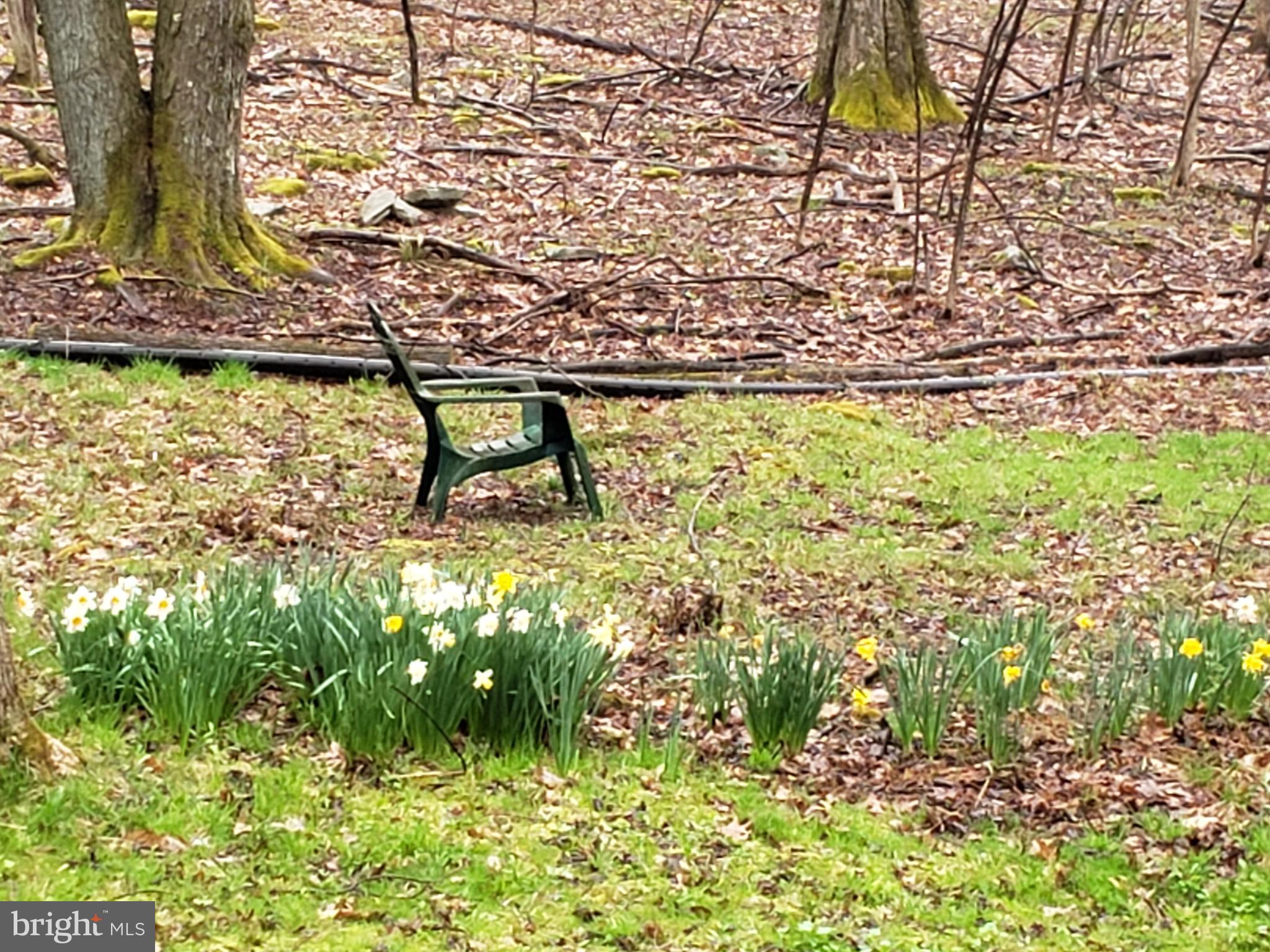 ALPINE LAKE RESORT - Residential