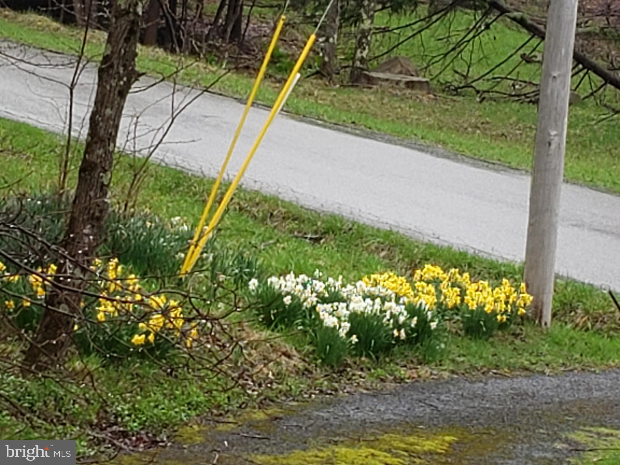 ALPINE LAKE RESORT - Residential