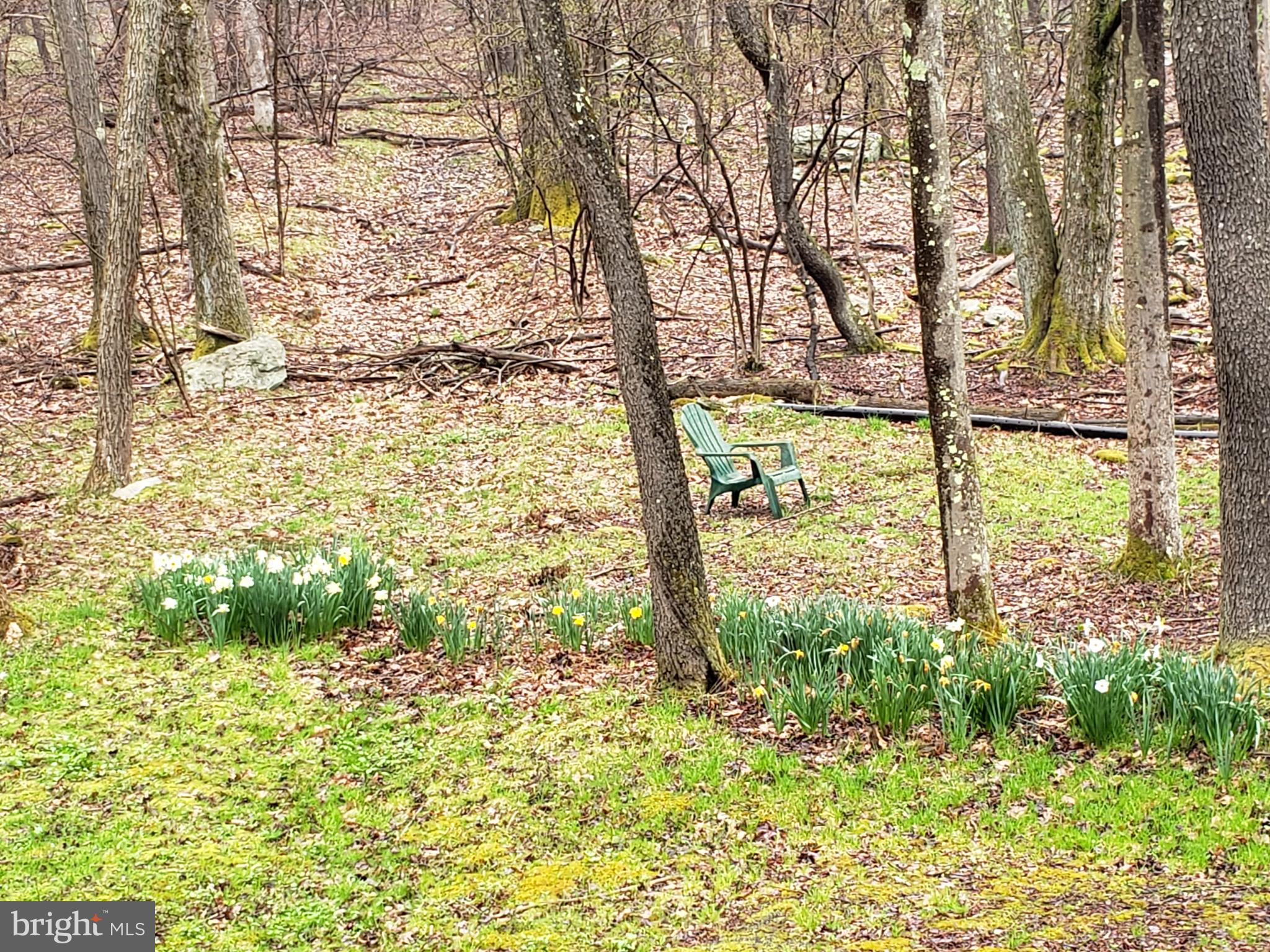 ALPINE LAKE RESORT - Residential