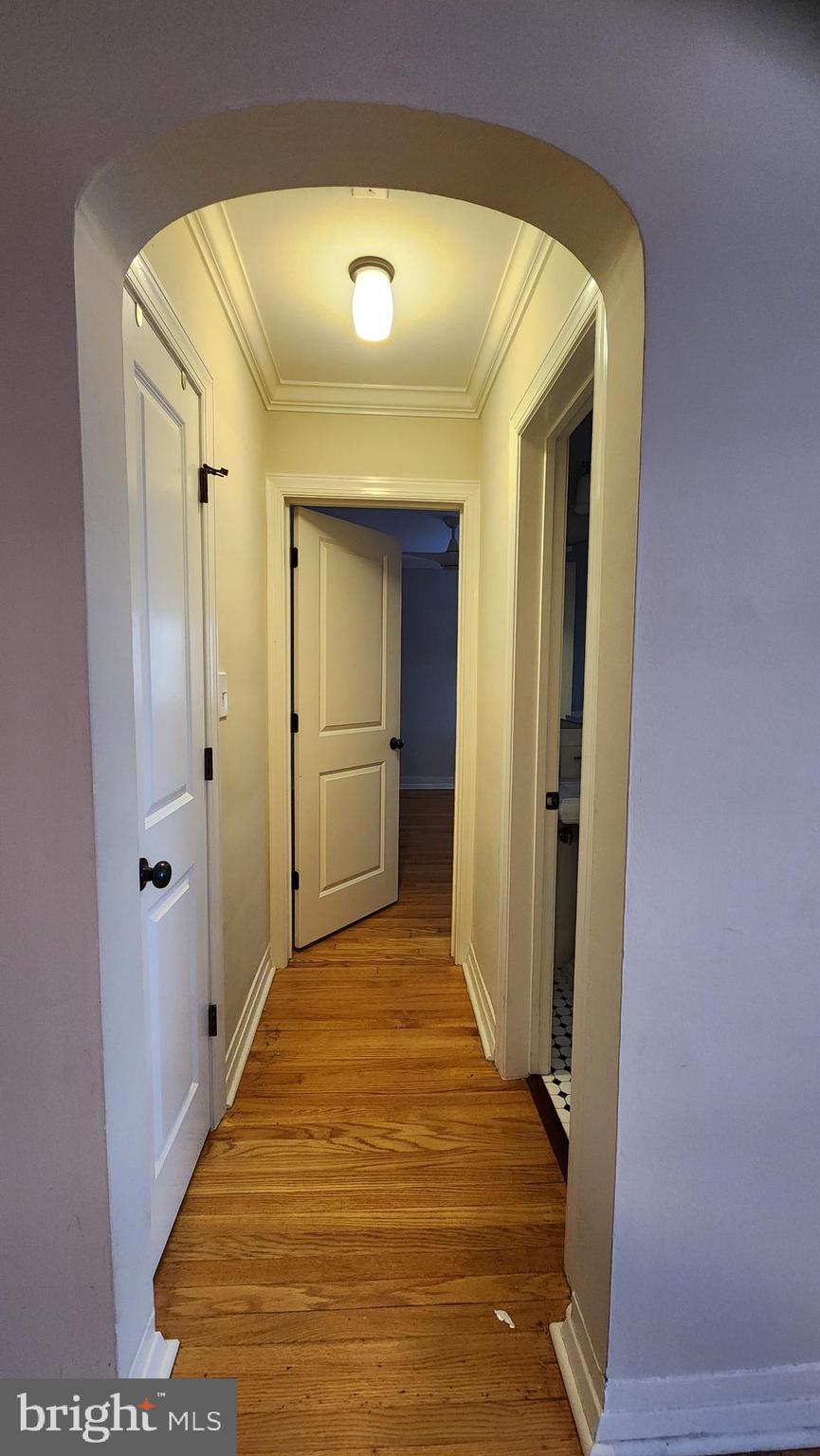 BEARINGS SOUTH - Residential Lease