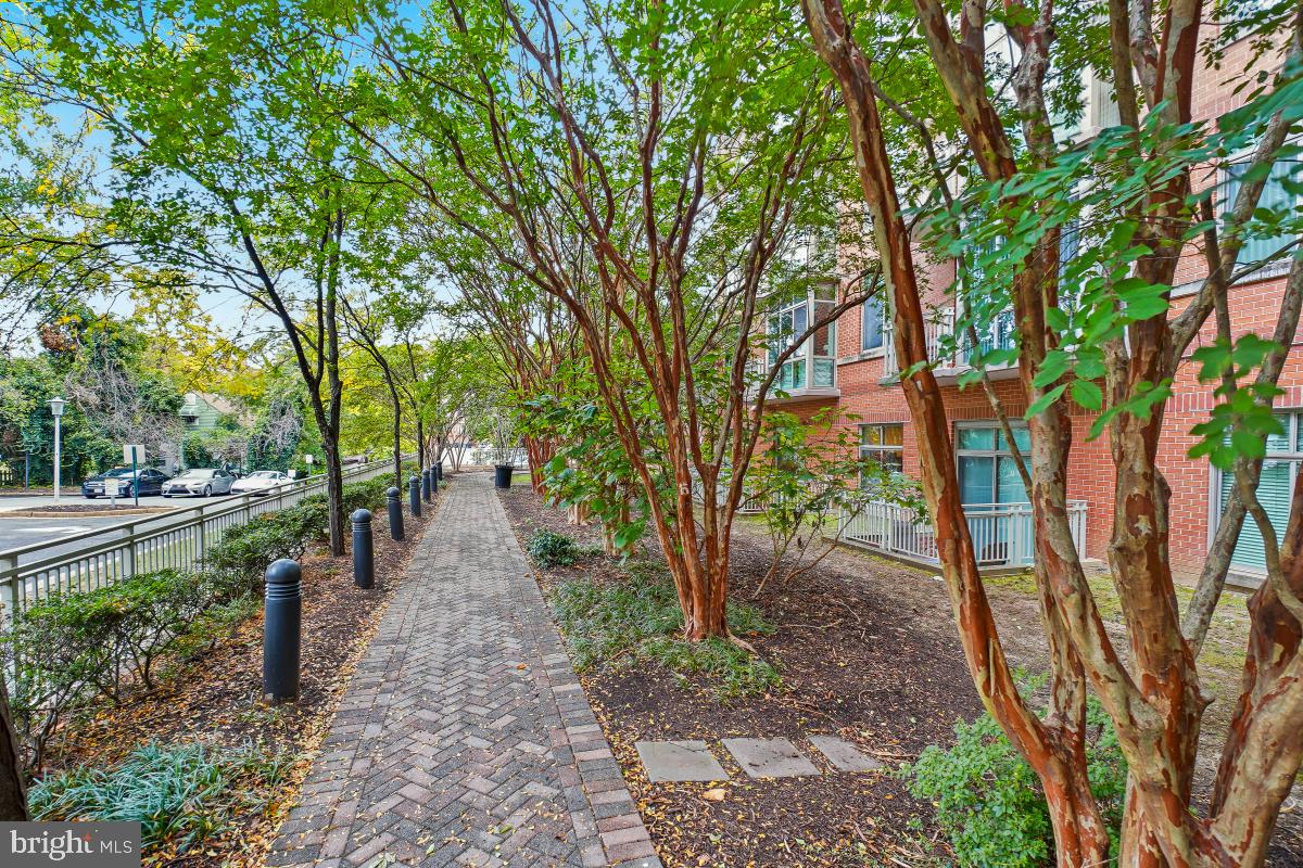 BALLSTON - Residential