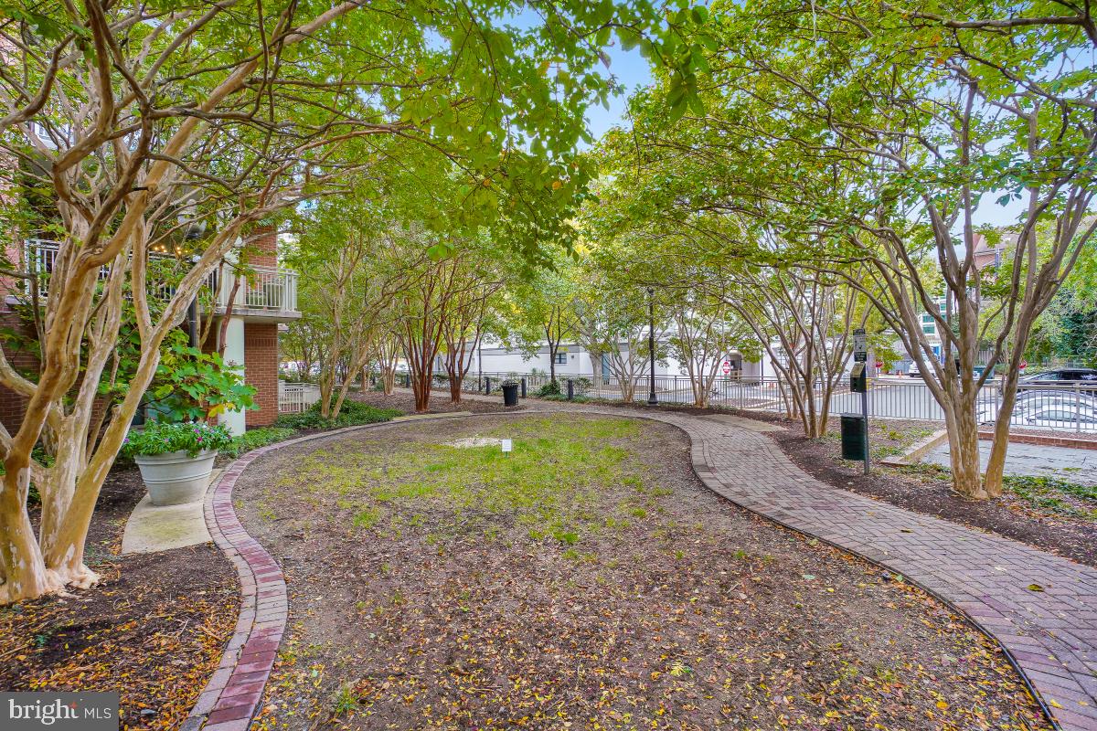 BALLSTON - Residential