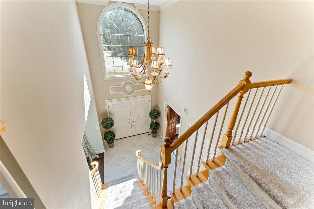 DARLINGTON VALLEY - Residential