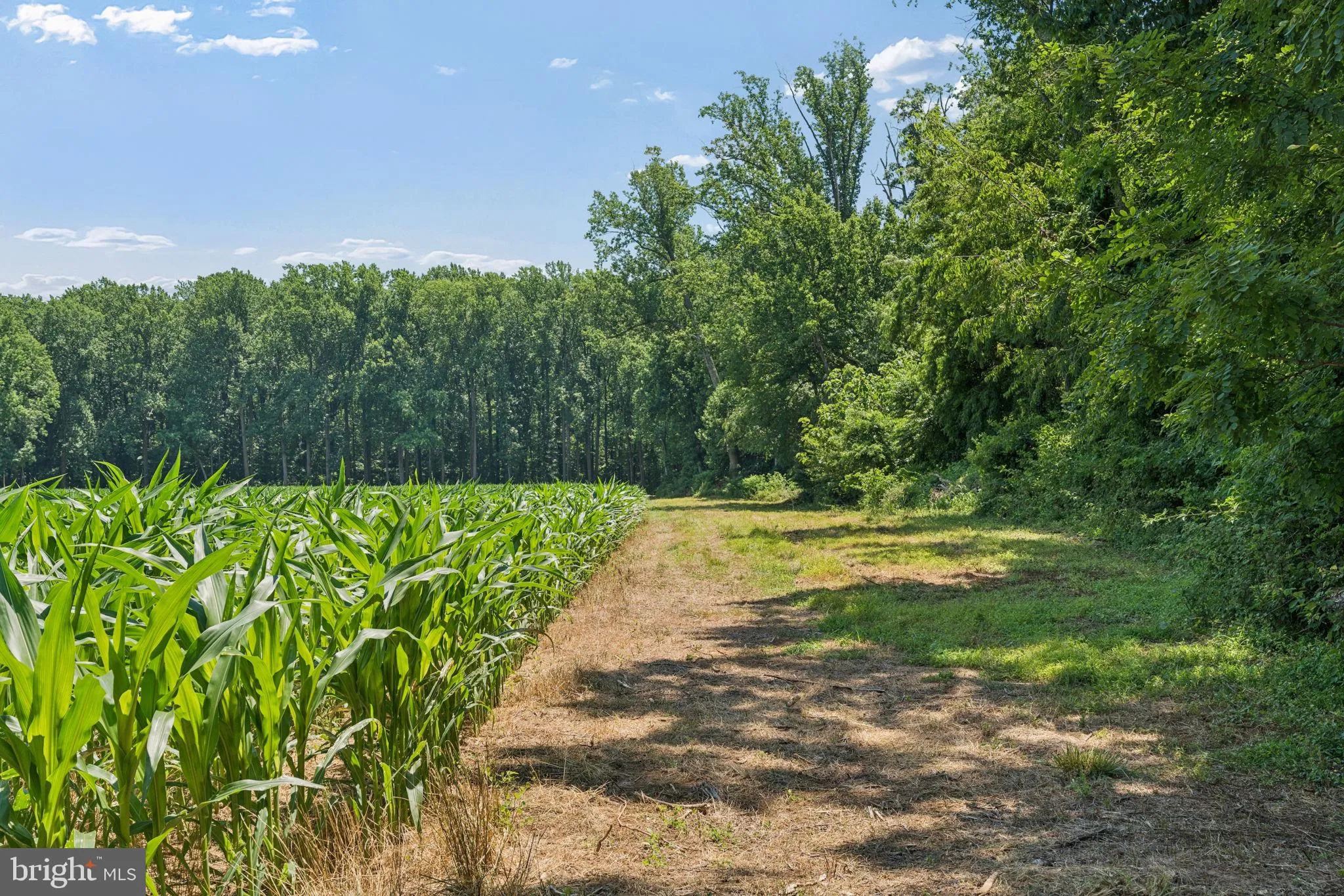Additional image 95 of 7219 New Cut Road, Kingsville, MD 21087