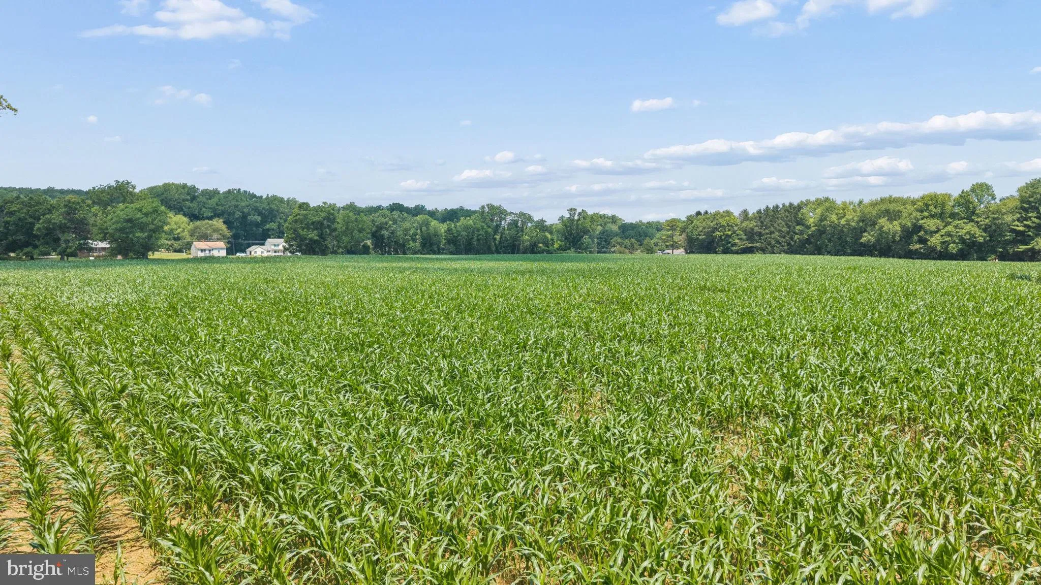 Additional image 85 of 7219 New Cut Road, Kingsville, MD 21087